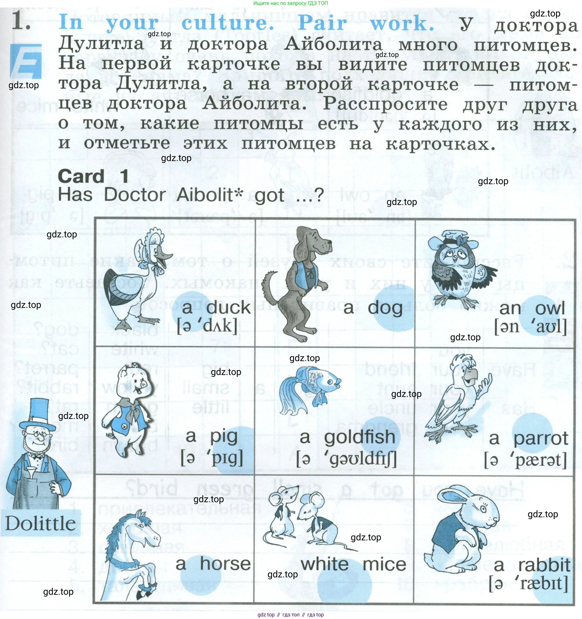 Английский язык (english), 2 класс рабочая тетрадь (activity book), авторы: Кузовлев Владимир Петрович (Kuzovlev Vladimir), Перегудова Эльвира Шакировна, Пастухова Светлана Анатольевна (Pastukhova Svetlana), Стрельникова Ольга Викторовна (Strelnikova Olga), издательство Просвещение, Москва, 2023, розового цвета, страница 55, номер 1, Условие