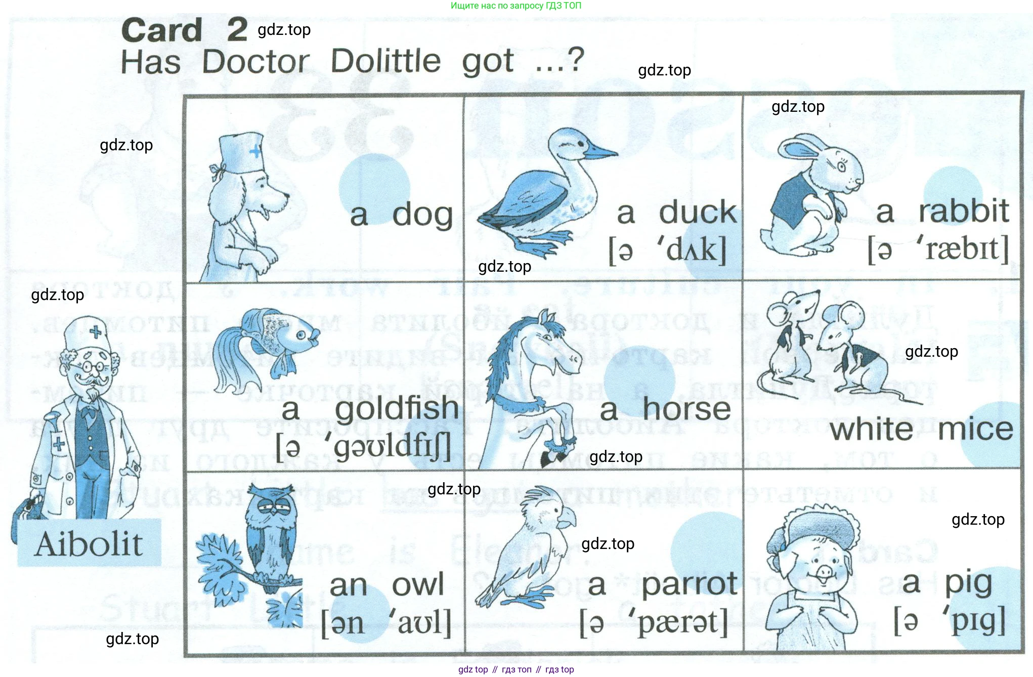 Английский язык (english), 2 класс рабочая тетрадь (activity book), авторы: Кузовлев Владимир Петрович (Kuzovlev Vladimir), Перегудова Эльвира Шакировна, Пастухова Светлана Анатольевна (Pastukhova Svetlana), Стрельникова Ольга Викторовна (Strelnikova Olga), издательство Просвещение, Москва, 2023, розового цвета, страница 55, номер 1, Условие (продолжение 2)