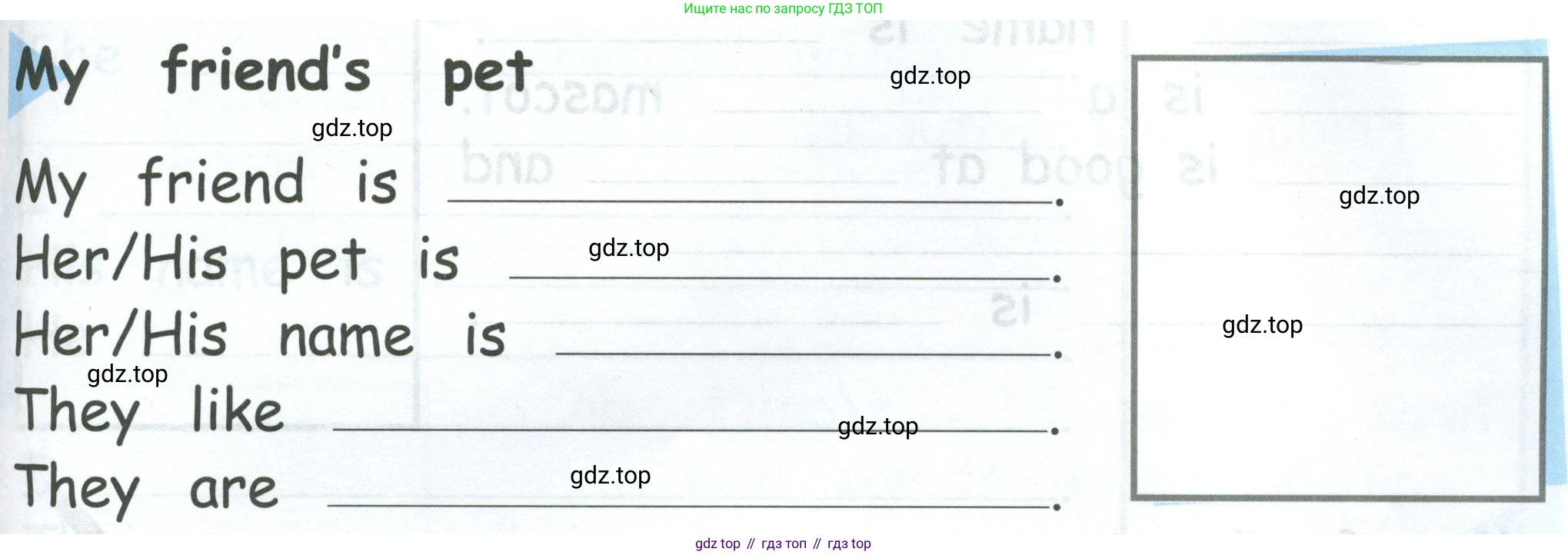 Английский язык (english), 2 класс рабочая тетрадь (activity book), авторы: Кузовлев Владимир Петрович (Kuzovlev Vladimir), Перегудова Эльвира Шакировна, Пастухова Светлана Анатольевна (Pastukhova Svetlana), Стрельникова Ольга Викторовна (Strelnikova Olga), издательство Просвещение, Москва, 2023, розового цвета, страница 109, номер 5, Условие