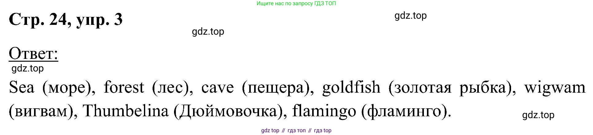 Английский язык (english), 2 класс рабочая тетрадь (activity book), авторы: Кузовлев Владимир Петрович (Kuzovlev Vladimir), Перегудова Эльвира Шакировна, Пастухова Светлана Анатольевна (Pastukhova Svetlana), Стрельникова Ольга Викторовна (Strelnikova Olga), издательство Просвещение, Москва, 2023, розового цвета, страница 24, номер 3, Решение
