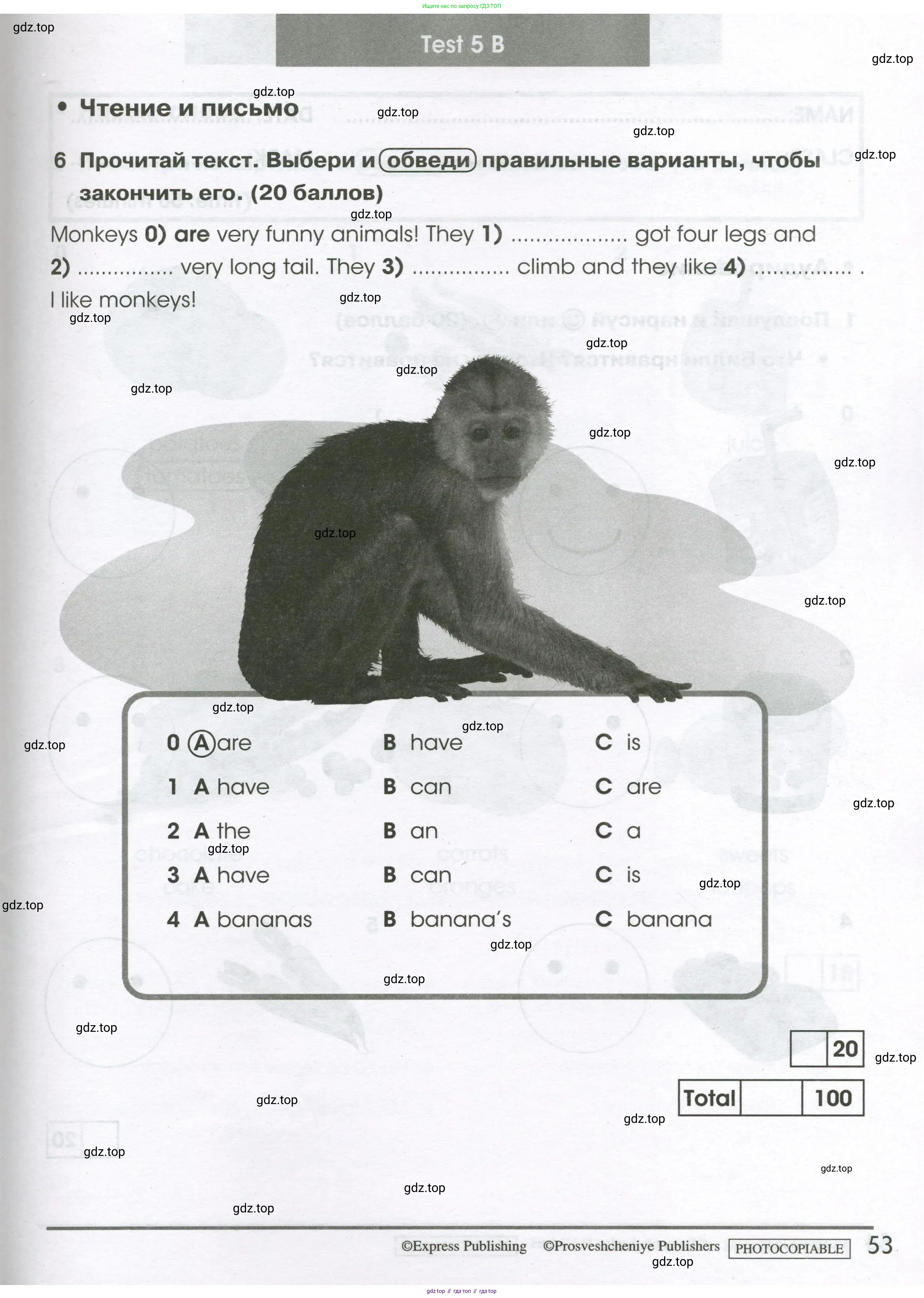 Английский язык (english), 2 класс контрольные задания (test booklet), авторы: Баранова Ксения Михайловна (Baranova Ksenia), Дули Дженни (Dooley Jenny), Копылова Виктория Викторовна (Kopylova Victoria), Мильруд Радислав Петрович (Millrood Radislav), Эванс Вирджиния (Evans Virginia), издательство Просвещение, Москва, 2023, серого цвета, страница 53