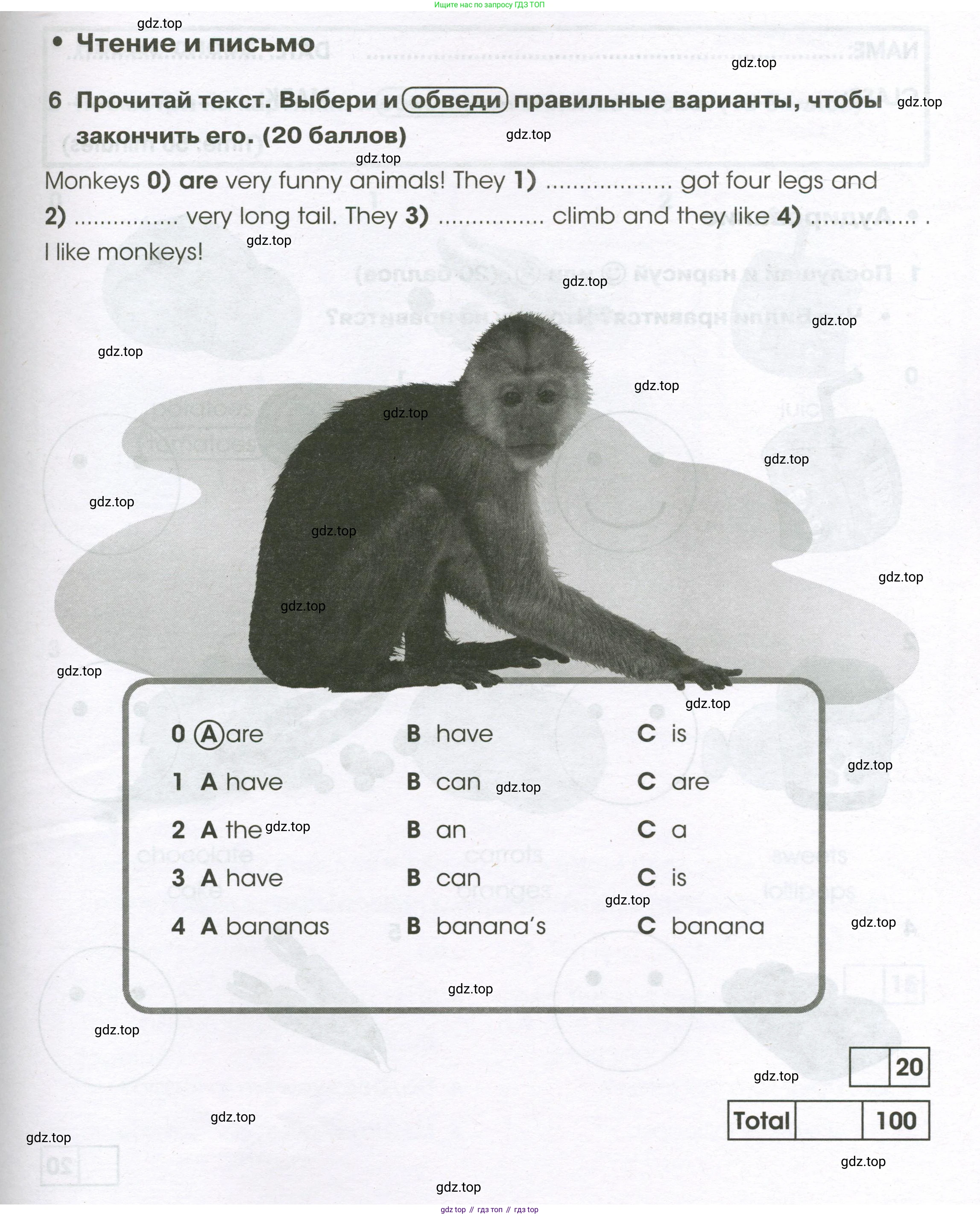 Английский язык (english), 2 класс контрольные задания (test booklet), авторы: Баранова Ксения Михайловна (Baranova Ksenia), Дули Дженни (Dooley Jenny), Копылова Виктория Викторовна (Kopylova Victoria), Мильруд Радислав Петрович (Millrood Radislav), Эванс Вирджиния (Evans Virginia), издательство Просвещение, Москва, 2023, серого цвета, страница 53, номер 6, Условие