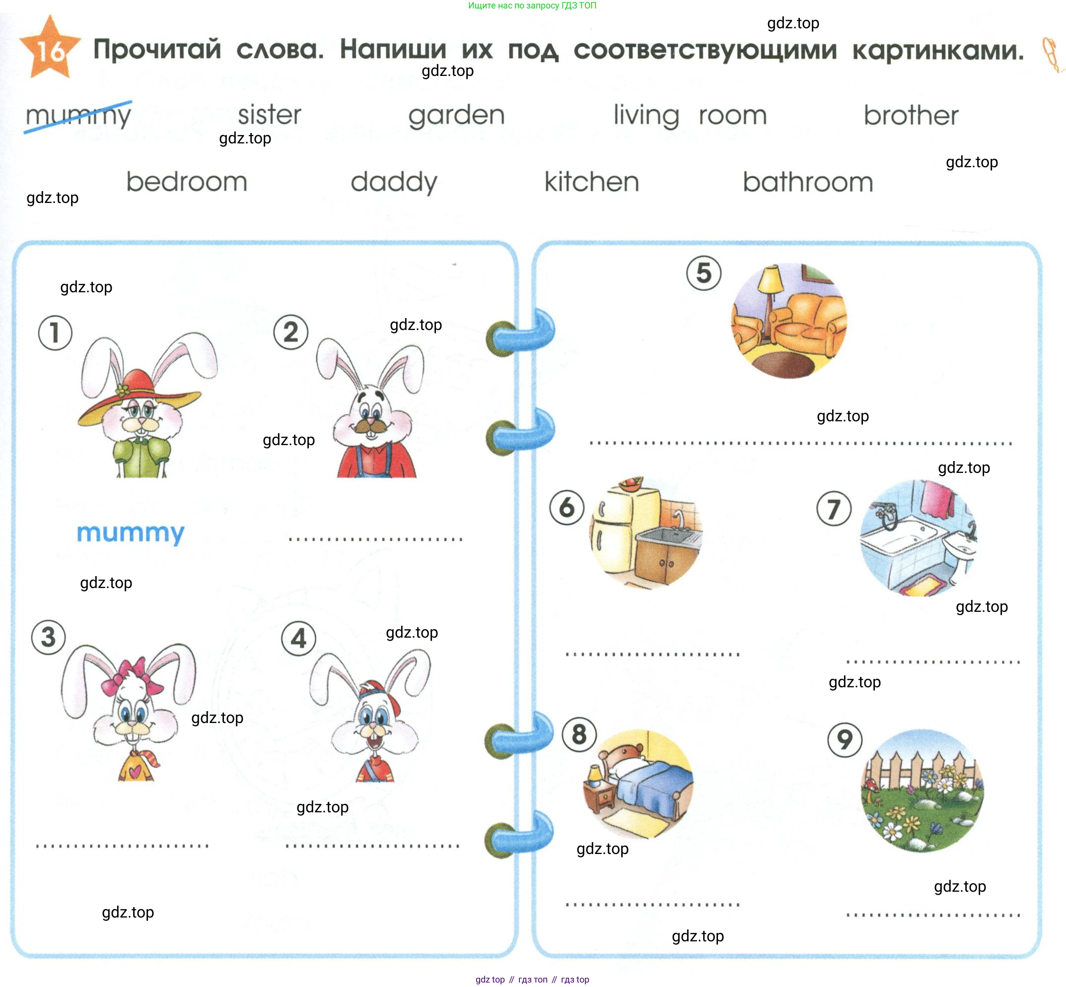 Английский язык (english), 2 класс Рабочая тетрадь (workbook), авторы: Баранова Ксения Михайловна (Baranova Ksenia), Дули Дженни (Dooley Jenny), Копылова Виктория Викторовна (Kopylova Victoria), Мильруд Радислав Петрович (Millrood Radislav), Эванс Вирджиния (Evans Virginia), издательство Просвещение, Москва, 2023, белого цвета, Часть ( Part) 1, страница 21, номер 16, Условие