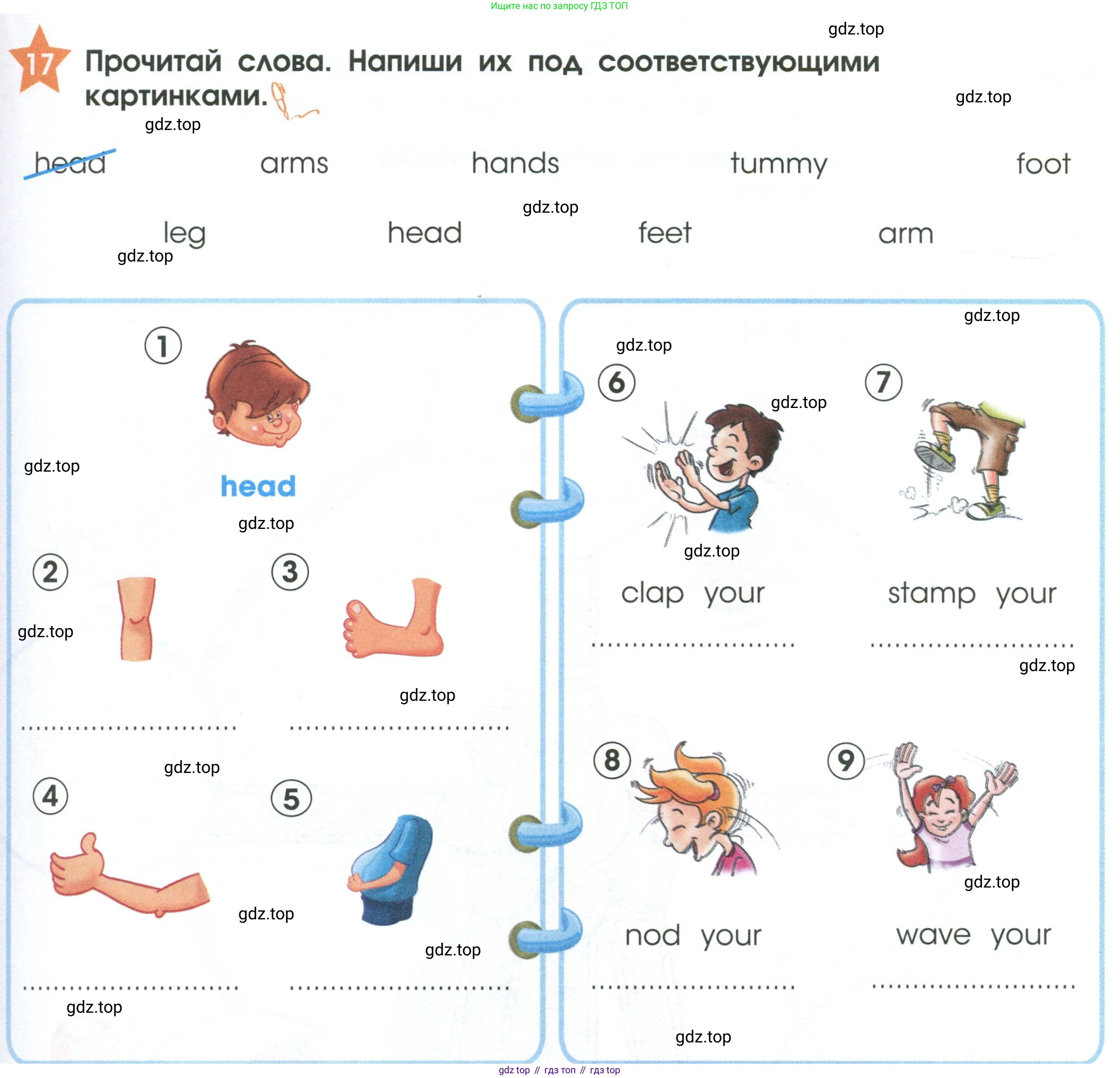 Английский язык (english), 2 класс Рабочая тетрадь (workbook), авторы: Баранова Ксения Михайловна (Baranova Ksenia), Дули Дженни (Dooley Jenny), Копылова Виктория Викторовна (Kopylova Victoria), Мильруд Радислав Петрович (Millrood Radislav), Эванс Вирджиния (Evans Virginia), издательство Просвещение, Москва, 2023, белого цвета, Часть ( Part) 1, страница 41, номер 17, Условие
