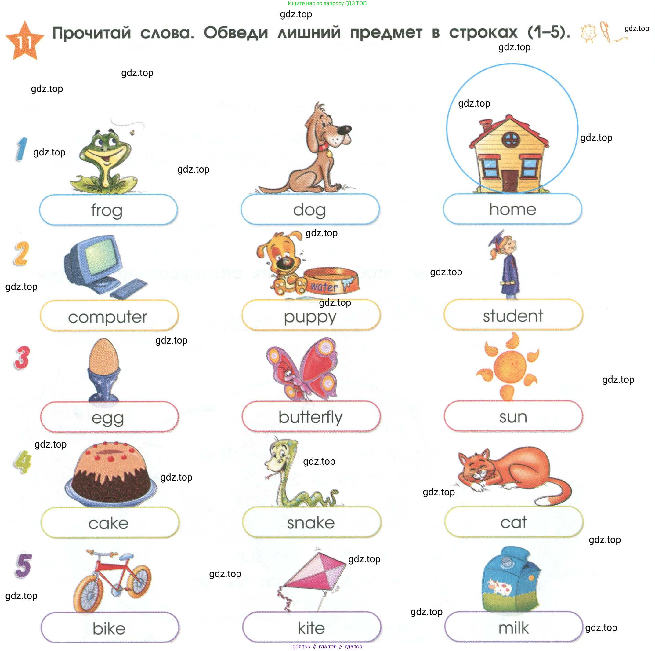 Английский язык (english), 2 класс Рабочая тетрадь (workbook), авторы: Баранова Ксения Михайловна (Baranova Ksenia), Дули Дженни (Dooley Jenny), Копылова Виктория Викторовна (Kopylova Victoria), Мильруд Радислав Петрович (Millrood Radislav), Эванс Вирджиния (Evans Virginia), издательство Просвещение, Москва, 2023, белого цвета, Часть ( Part) 1, страница 8, номер 11, Условие