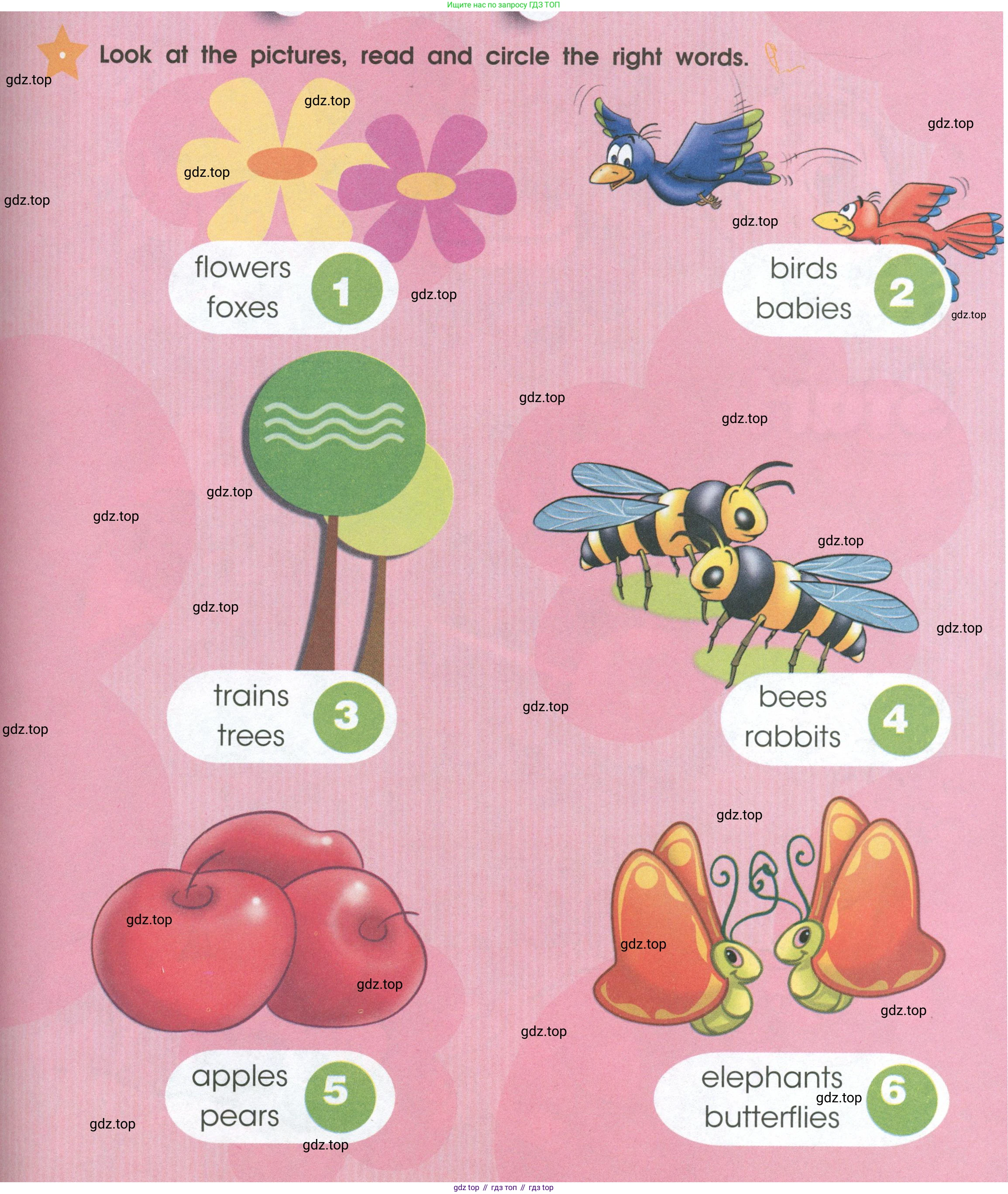 Английский язык (english), 2 класс Рабочая тетрадь (workbook), авторы: Баранова Ксения Михайловна (Baranova Ksenia), Дули Дженни (Dooley Jenny), Копылова Виктория Викторовна (Kopylova Victoria), Мильруд Радислав Петрович (Millrood Radislav), Эванс Вирджиния (Evans Virginia), издательство Просвещение, Москва, 2023, белого цвета, Часть ( Part) 2, страница 45, Условие