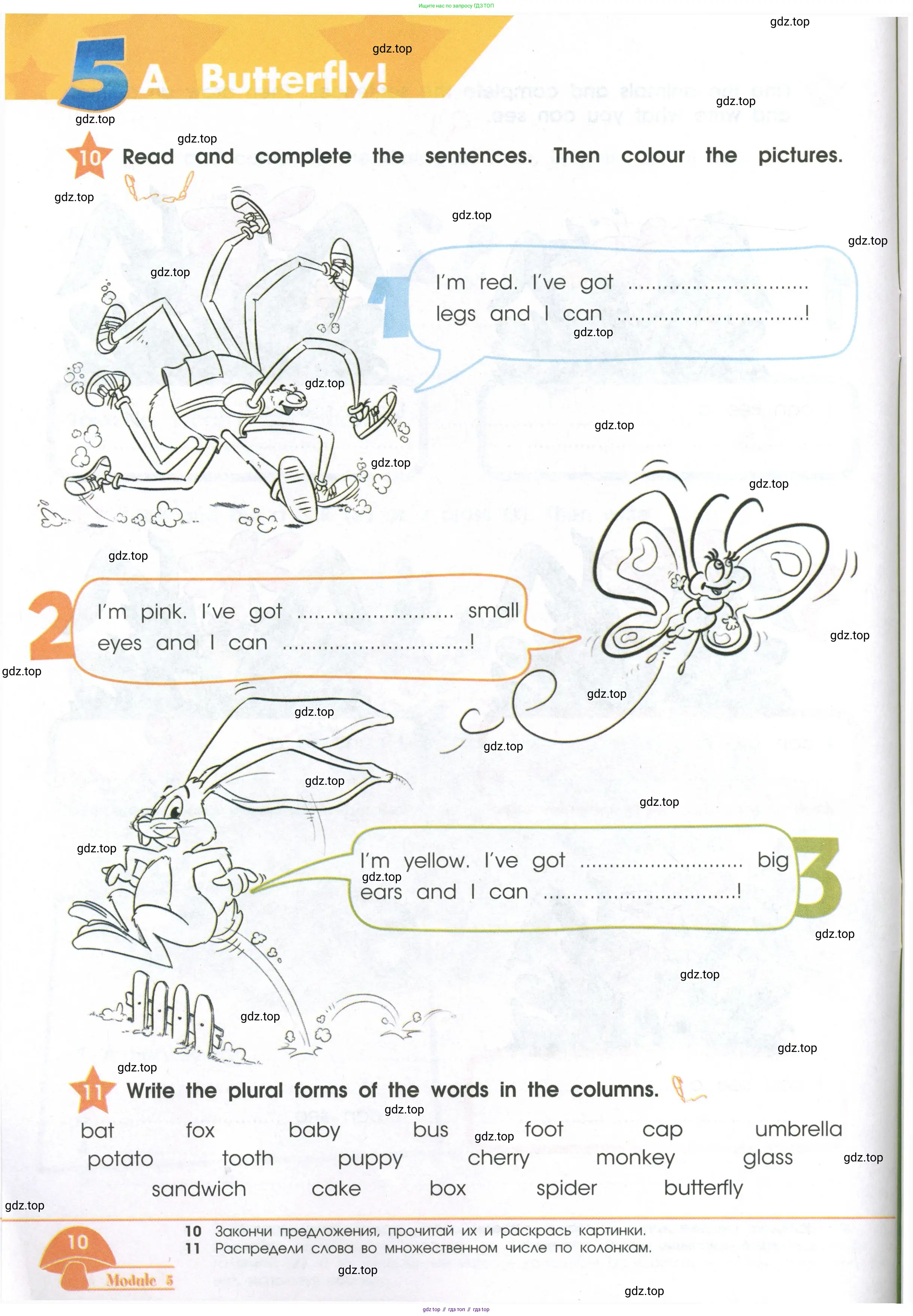 Английский язык (english), 2 класс Рабочая тетрадь (workbook), авторы: Баранова Ксения Михайловна (Baranova Ksenia), Дули Дженни (Dooley Jenny), Копылова Виктория Викторовна (Kopylova Victoria), Мильруд Радислав Петрович (Millrood Radislav), Эванс Вирджиния (Evans Virginia), издательство Просвещение, Москва, 2023, белого цвета, Часть ( Part) 1, страница 10