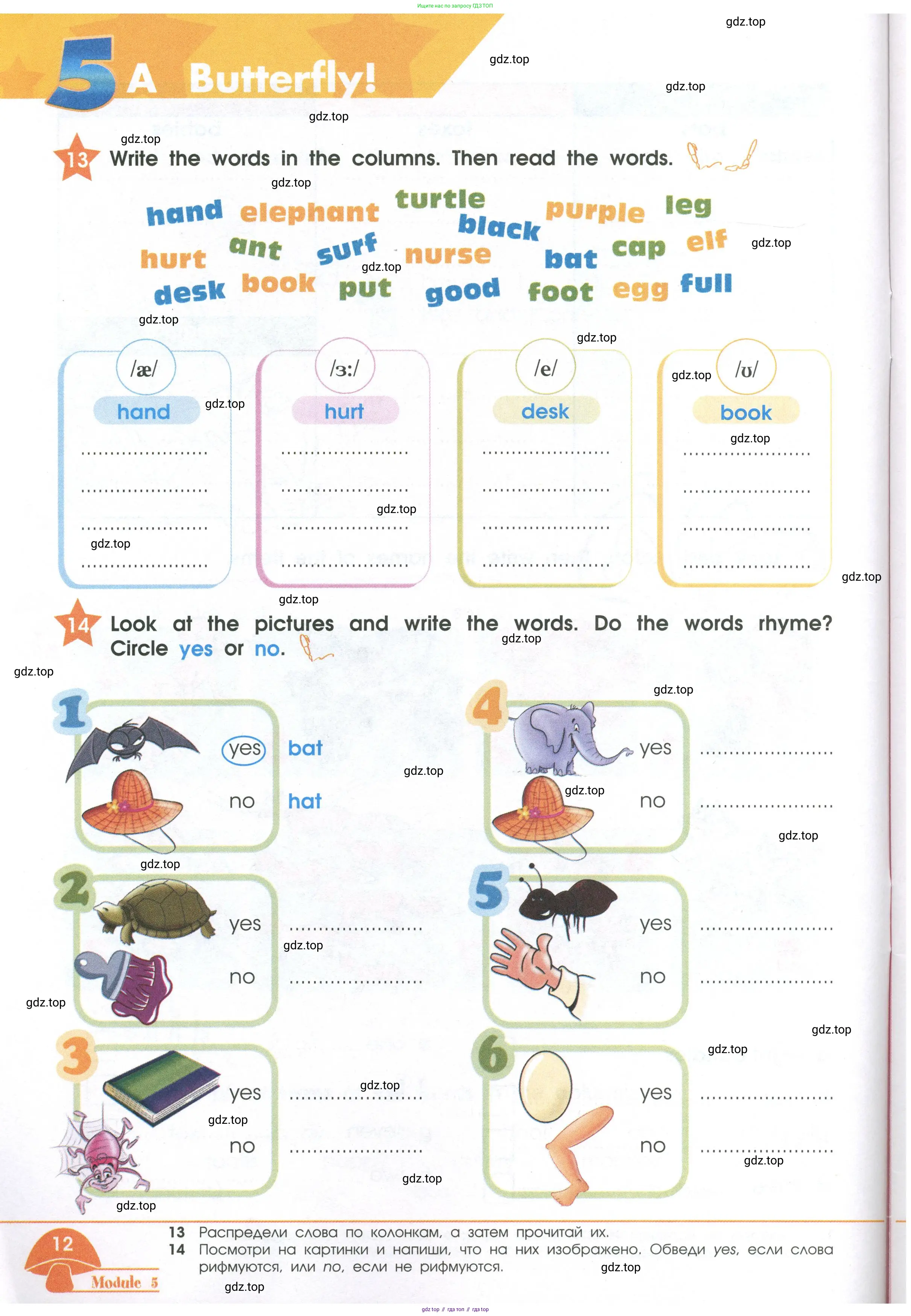 Английский язык (english), 2 класс Рабочая тетрадь (workbook), авторы: Баранова Ксения Михайловна (Baranova Ksenia), Дули Дженни (Dooley Jenny), Копылова Виктория Викторовна (Kopylova Victoria), Мильруд Радислав Петрович (Millrood Radislav), Эванс Вирджиния (Evans Virginia), издательство Просвещение, Москва, 2023, белого цвета, Часть ( Part) 1, страница 12