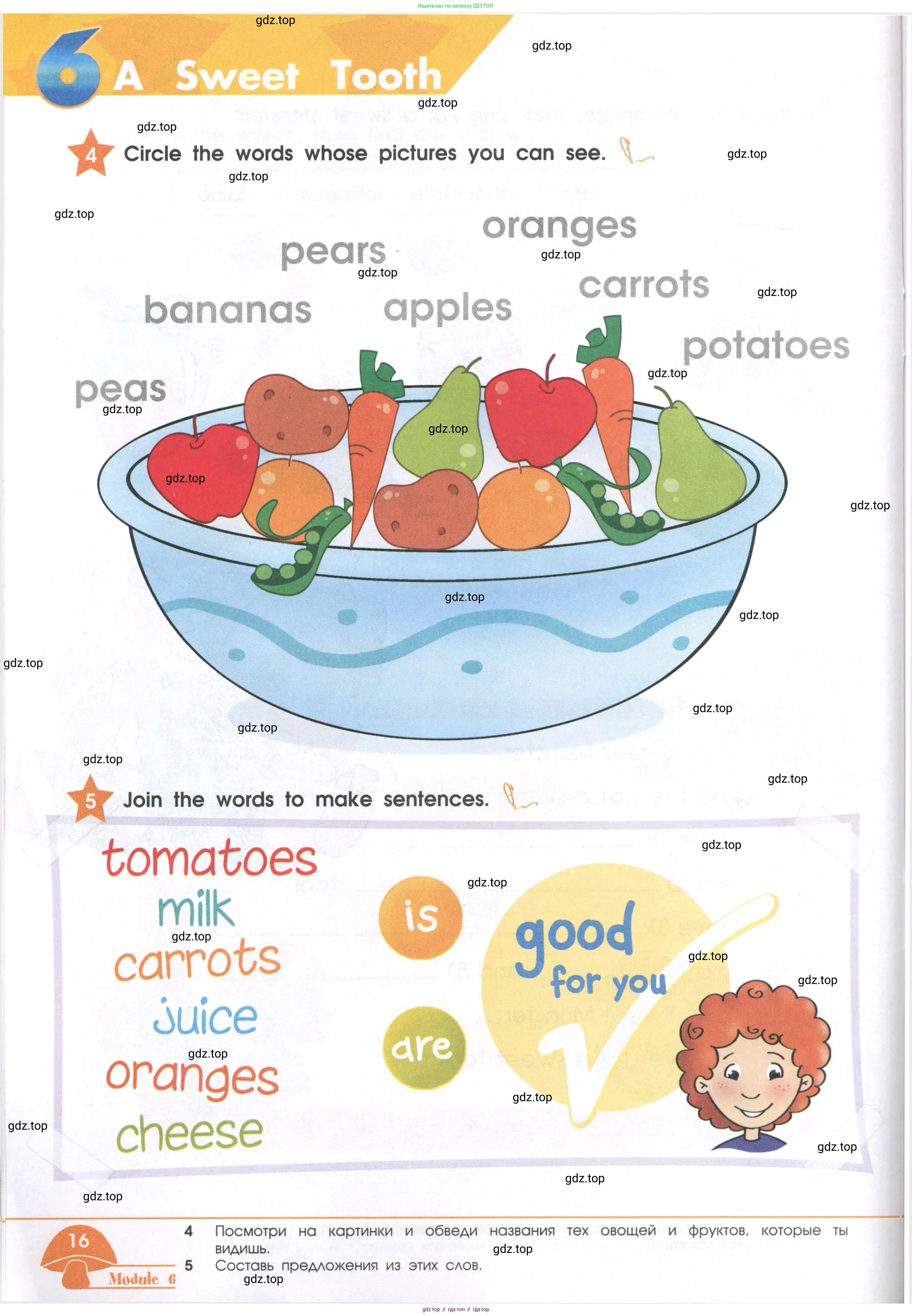 Английский язык (english), 2 класс Рабочая тетрадь (workbook), авторы: Баранова Ксения Михайловна (Baranova Ksenia), Дули Дженни (Dooley Jenny), Копылова Виктория Викторовна (Kopylova Victoria), Мильруд Радислав Петрович (Millrood Radislav), Эванс Вирджиния (Evans Virginia), издательство Просвещение, Москва, 2023, белого цвета, Часть ( Part) 1, страница 16