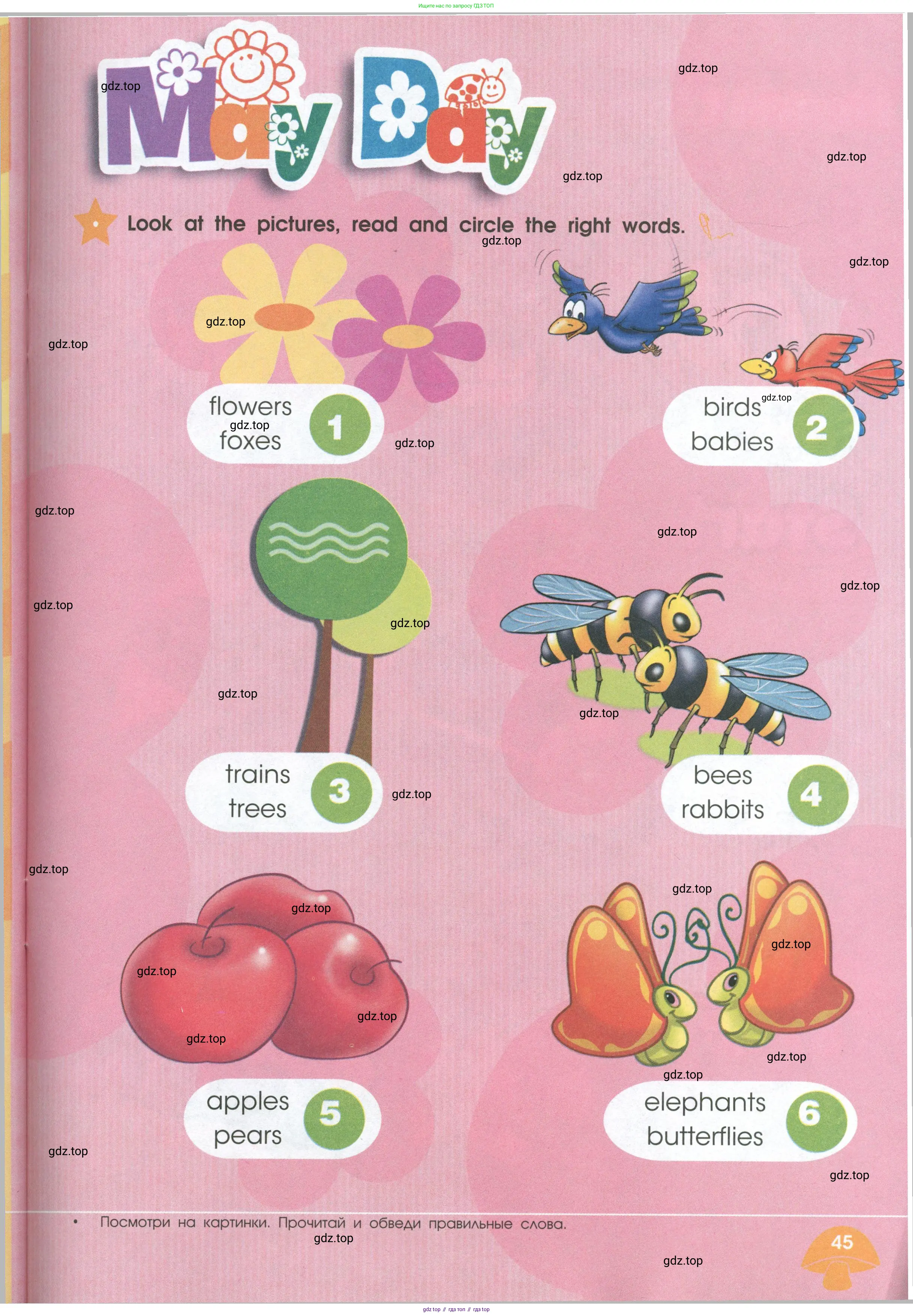 Английский язык (english), 2 класс Рабочая тетрадь (workbook), авторы: Баранова Ксения Михайловна (Baranova Ksenia), Дули Дженни (Dooley Jenny), Копылова Виктория Викторовна (Kopylova Victoria), Мильруд Радислав Петрович (Millrood Radislav), Эванс Вирджиния (Evans Virginia), издательство Просвещение, Москва, 2023, белого цвета, Часть ( Part) 1, страница 45