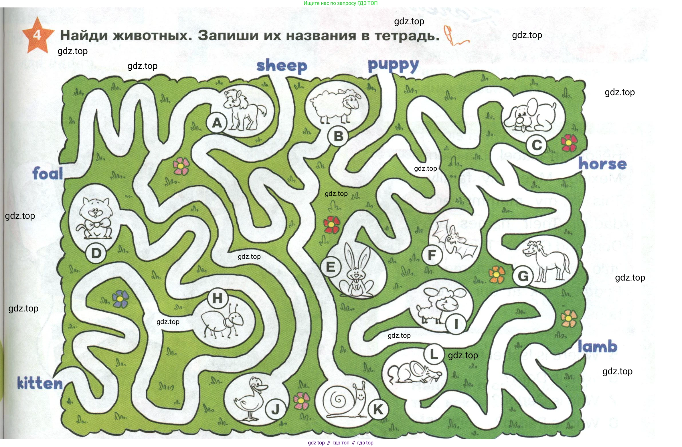 ГДЗ Английский язык (english), 2 класс Учебник (Student's book), авторы: Баранова Ксения Михайловна (Baranova Ksenia), Дули Дженни (Dooley Jenny), Копылова Виктория Викторовна (Kopylova Victoria), Мильруд Радислав Петрович (Millrood Radislav), Эванс Вирджиния (Evans Virginia), издательство Просвещение, Москва, 2023, белого цвета, Часть ( Part) 1, страница 35, номер 4, Условие