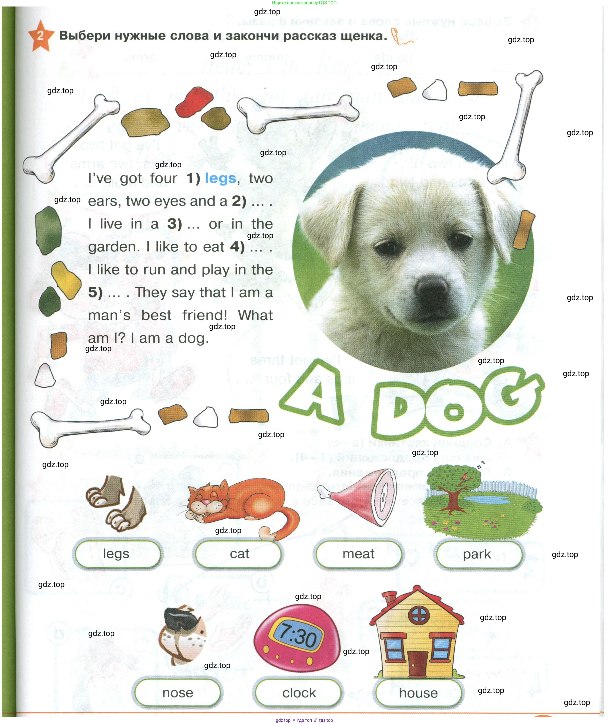 ГДЗ Английский язык (english), 2 класс Учебник (Student's book), авторы: Баранова Ксения Михайловна (Baranova Ksenia), Дули Дженни (Dooley Jenny), Копылова Виктория Викторовна (Kopylova Victoria), Мильруд Радислав Петрович (Millrood Radislav), Эванс Вирджиния (Evans Virginia), издательство Просвещение, Москва, 2023, белого цвета, Часть ( Part) 1, страница 73, номер 2, Условие