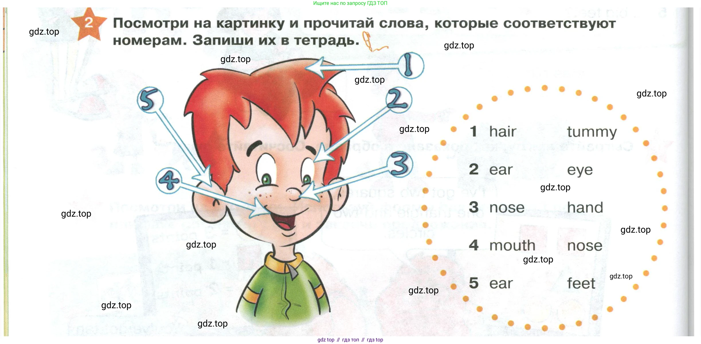 ГДЗ Английский язык (english), 2 класс Учебник (Student's book), авторы: Баранова Ксения Михайловна (Baranova Ksenia), Дули Дженни (Dooley Jenny), Копылова Виктория Викторовна (Kopylova Victoria), Мильруд Радислав Петрович (Millrood Radislav), Эванс Вирджиния (Evans Virginia), издательство Просвещение, Москва, 2023, белого цвета, Часть ( Part) 1, страница 80, номер 2, Условие