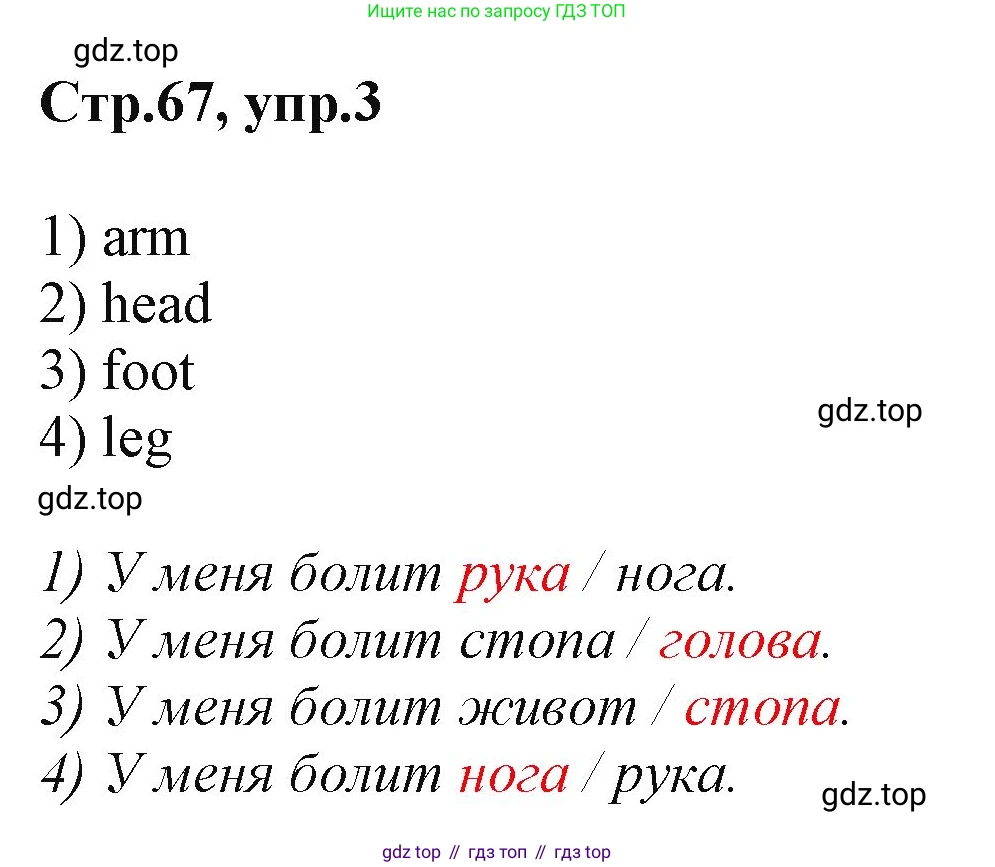 ГДЗ Английский язык (english), 2 класс Учебник (Student's book), авторы: Баранова Ксения Михайловна (Baranova Ksenia), Дули Дженни (Dooley Jenny), Копылова Виктория Викторовна (Kopylova Victoria), Мильруд Радислав Петрович (Millrood Radislav), Эванс Вирджиния (Evans Virginia), издательство Просвещение, Москва, 2023, белого цвета, Часть ( Part) 1, страница 67, номер 3, Решение