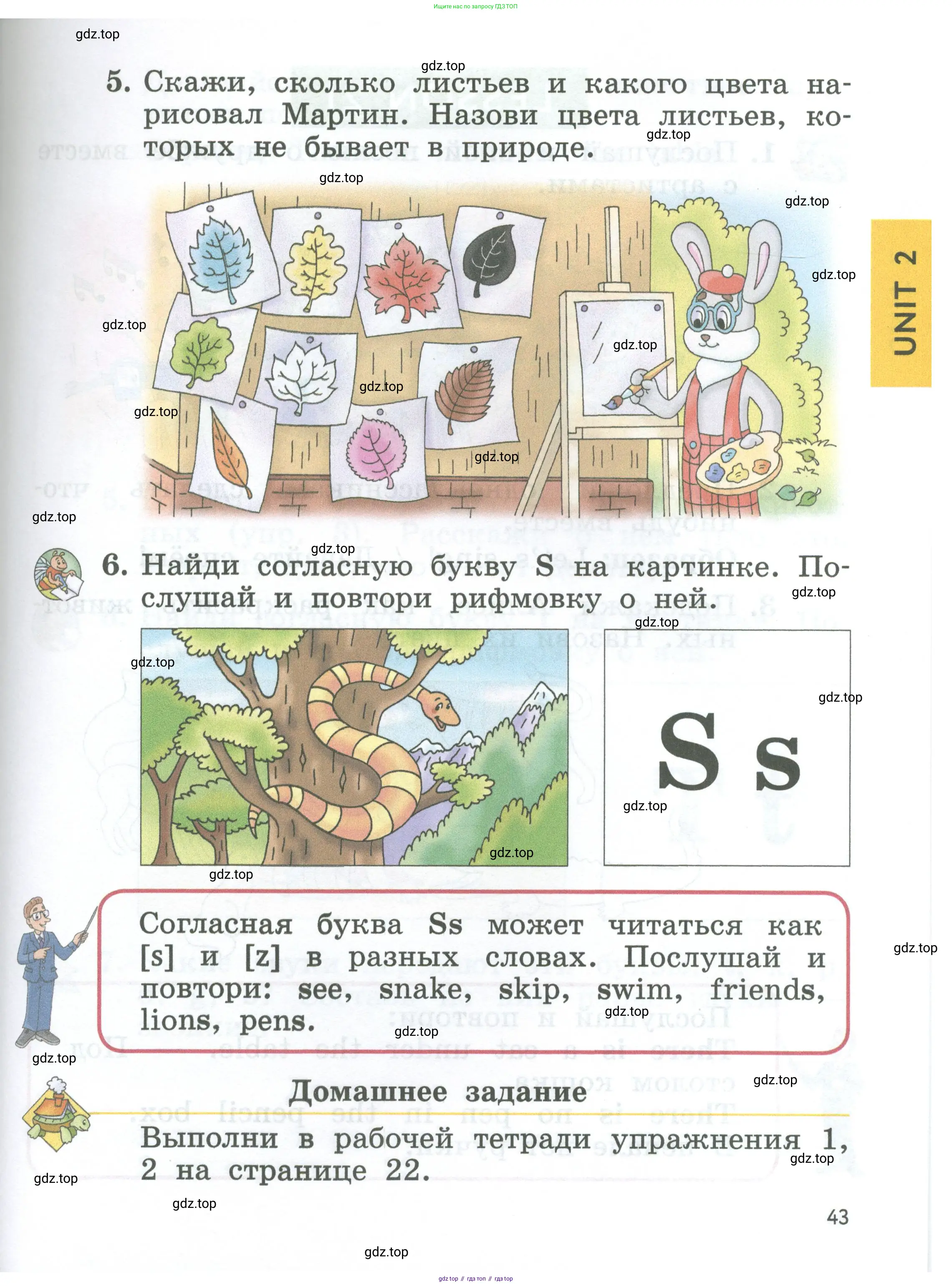 Английский язык (english), 2 класс Учебник (Student's book), авторы: Биболетова Мерем Забатовна, Денисенко Ольга Анатольевна, Трубанева Наталия Николаевна, издательство Просвещение, Москва, 2023, красного цвета, страница 43