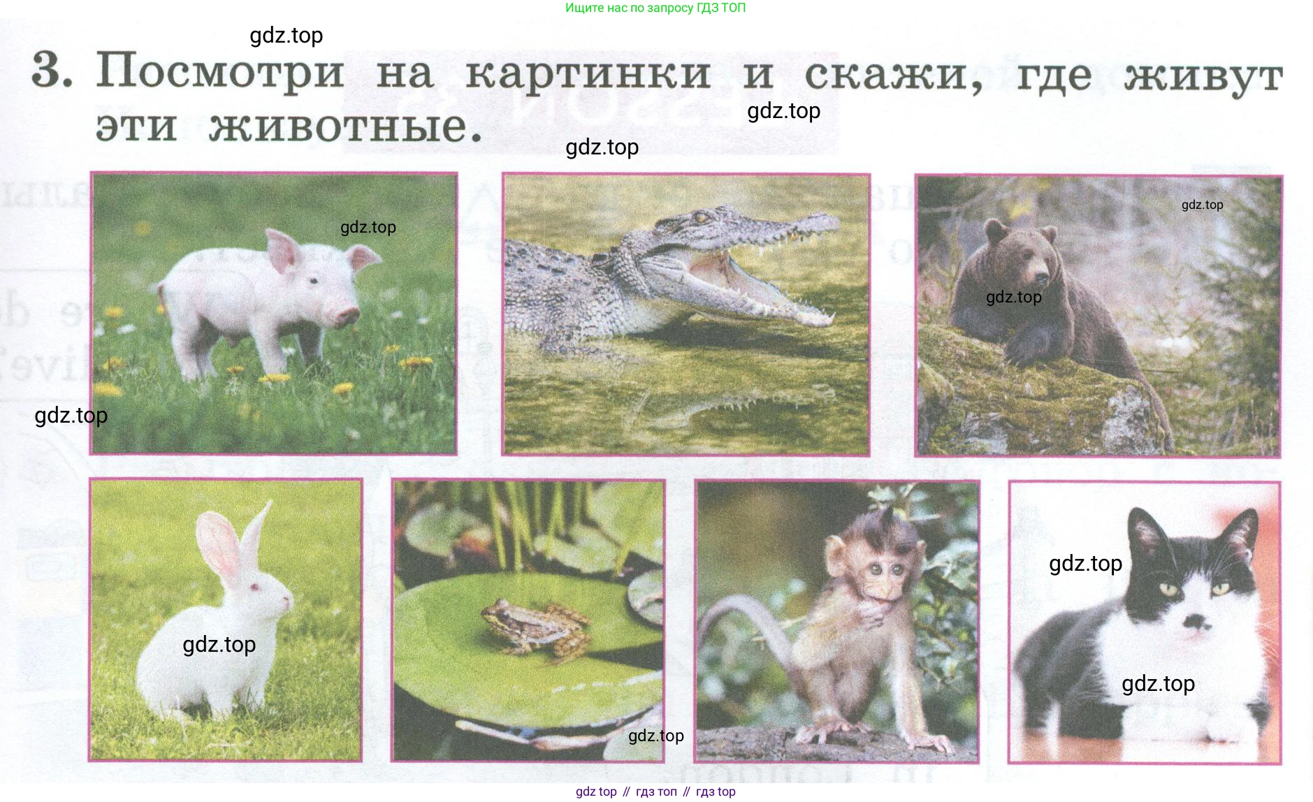 Английский язык (english), 2 класс Учебник (Student's book), авторы: Биболетова Мерем Забатовна, Денисенко Ольга Анатольевна, Трубанева Наталия Николаевна, издательство Просвещение, Москва, 2023, красного цвета, страница 67, номер 3, Условие