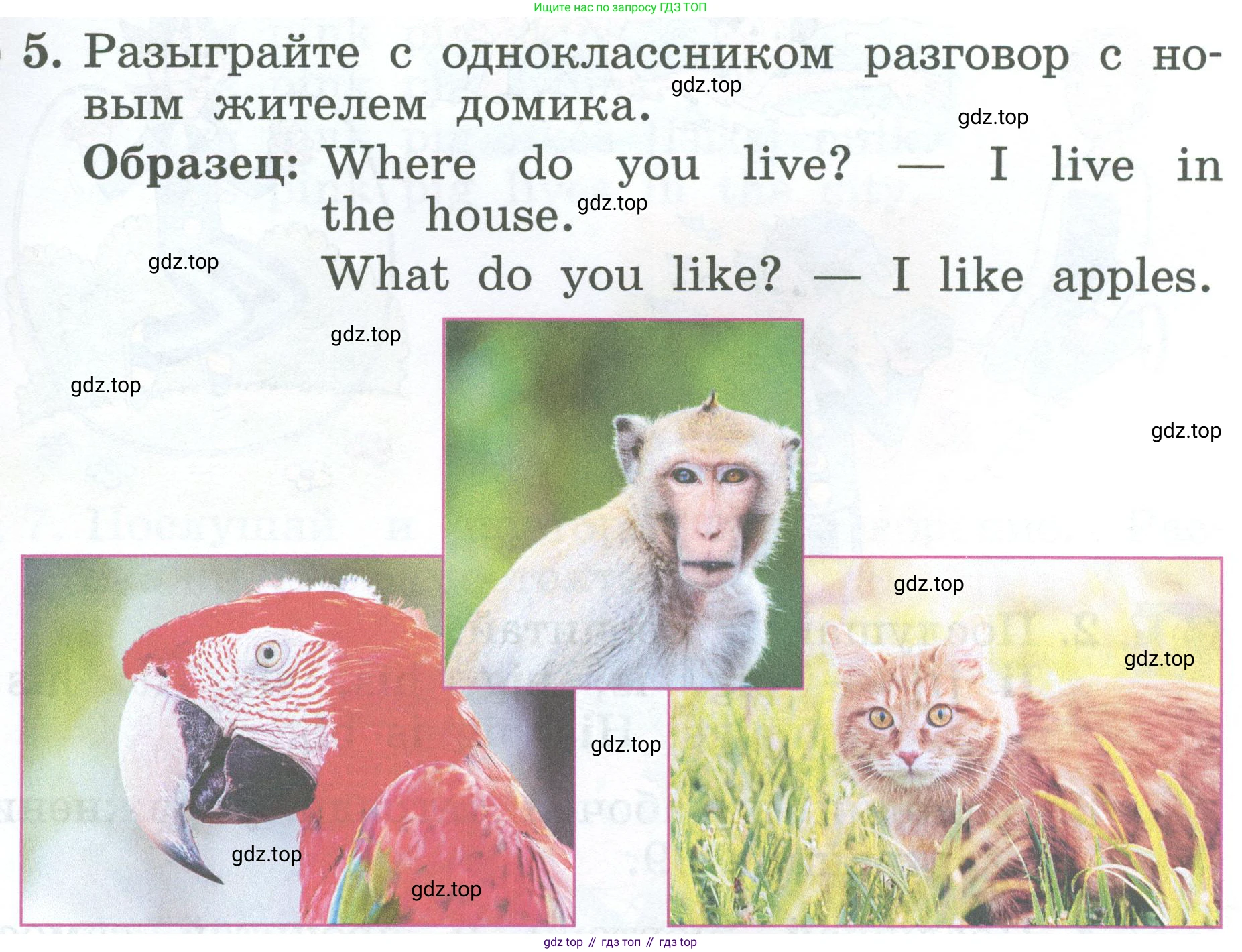 Английский язык (english), 2 класс Учебник (Student's book), авторы: Биболетова Мерем Забатовна, Денисенко Ольга Анатольевна, Трубанева Наталия Николаевна, издательство Просвещение, Москва, 2023, красного цвета, страница 69, номер 5, Условие