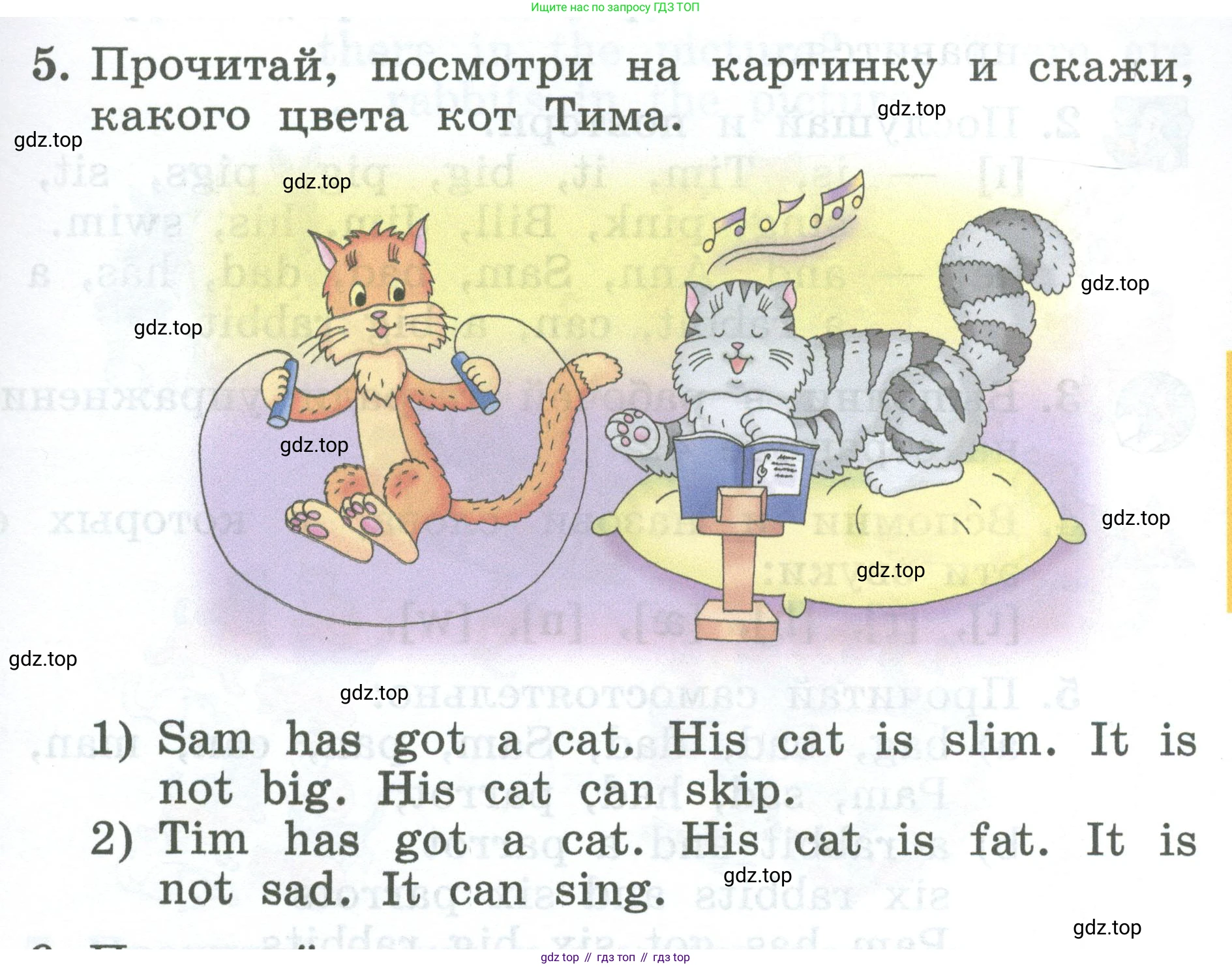 Английский язык (english), 2 класс Учебник (Student's book), авторы: Биболетова Мерем Забатовна, Денисенко Ольга Анатольевна, Трубанева Наталия Николаевна, издательство Просвещение, Москва, 2023, красного цвета, страница 75, номер 5, Условие