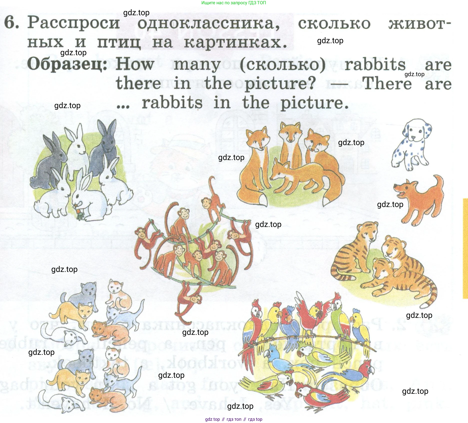 Английский язык (english), 2 класс Учебник (Student's book), авторы: Биболетова Мерем Забатовна, Денисенко Ольга Анатольевна, Трубанева Наталия Николаевна, издательство Просвещение, Москва, 2023, красного цвета, страница 77, номер 6, Условие