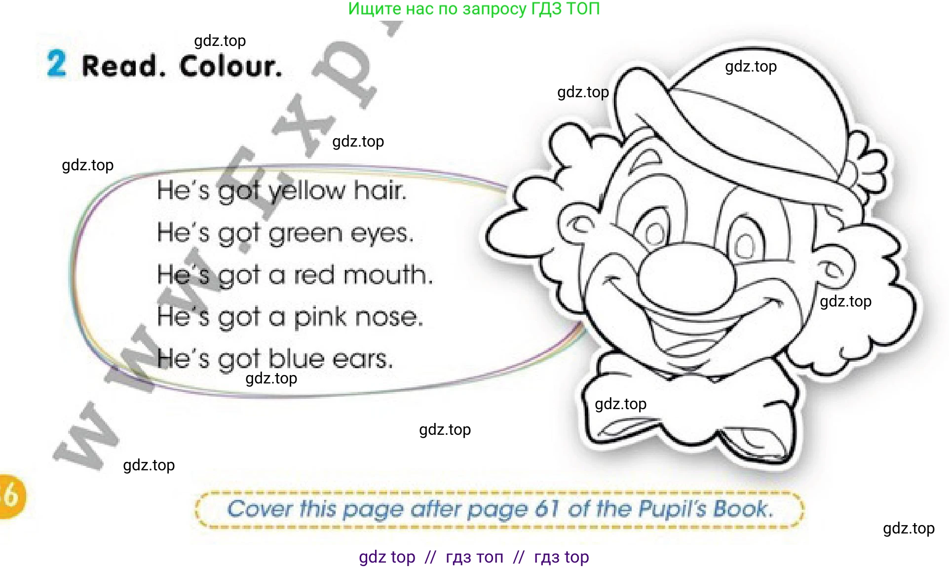 Английский язык (english), 2 класс Учебник (Pupil's book), авторы: Дули Дженни (Dooley Jenny), Эванс Вирджиния (Evans Virginia), Оби Боб (Obee Bob), издательство Express Publishing, Алматы, 2017, жёлтого цвета, страница 36, номер 2, Условие