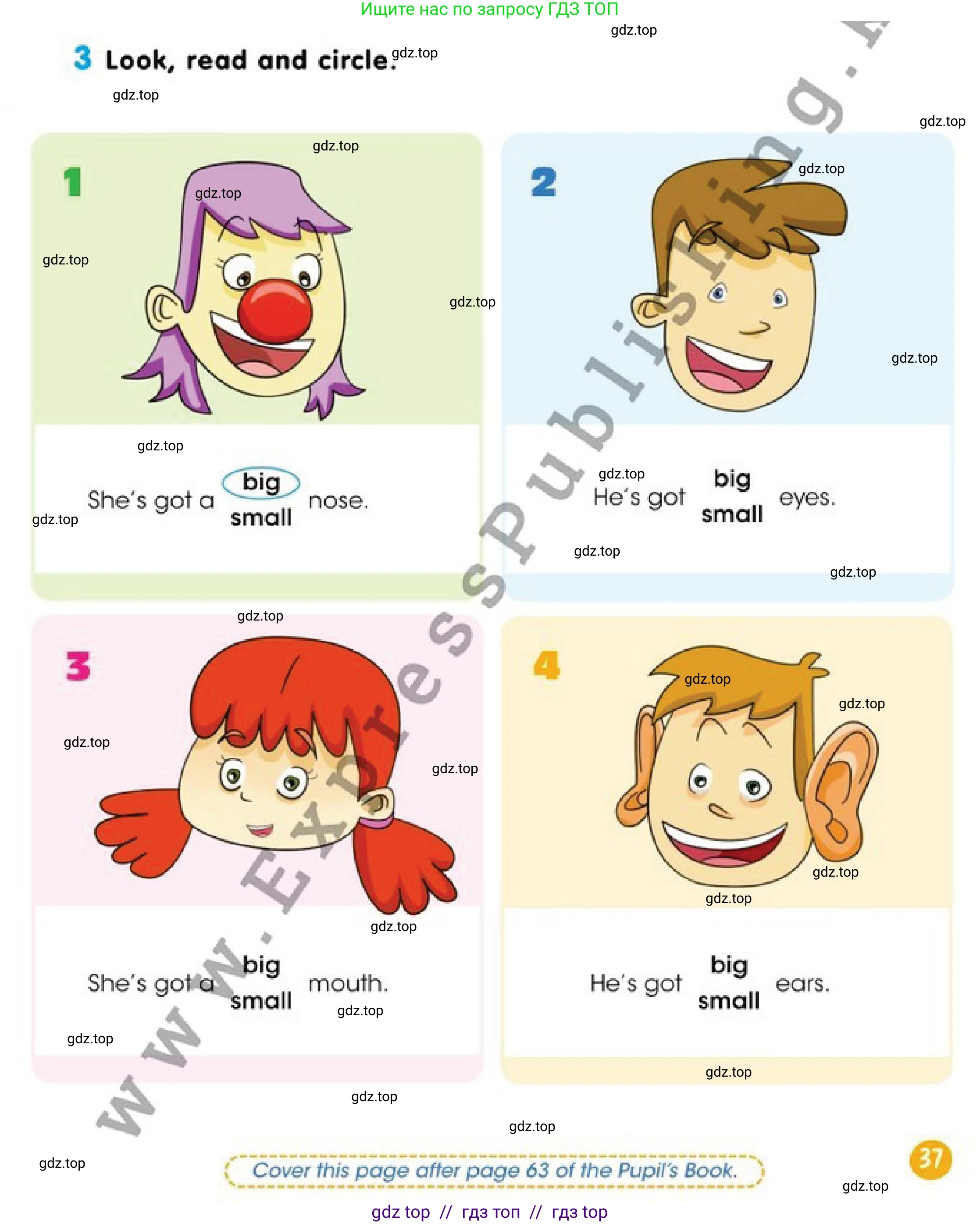 Английский язык (english), 2 класс Учебник (Pupil's book), авторы: Дули Дженни (Dooley Jenny), Эванс Вирджиния (Evans Virginia), Оби Боб (Obee Bob), издательство Express Publishing, Алматы, 2017, жёлтого цвета, страница 37, номер 3, Условие