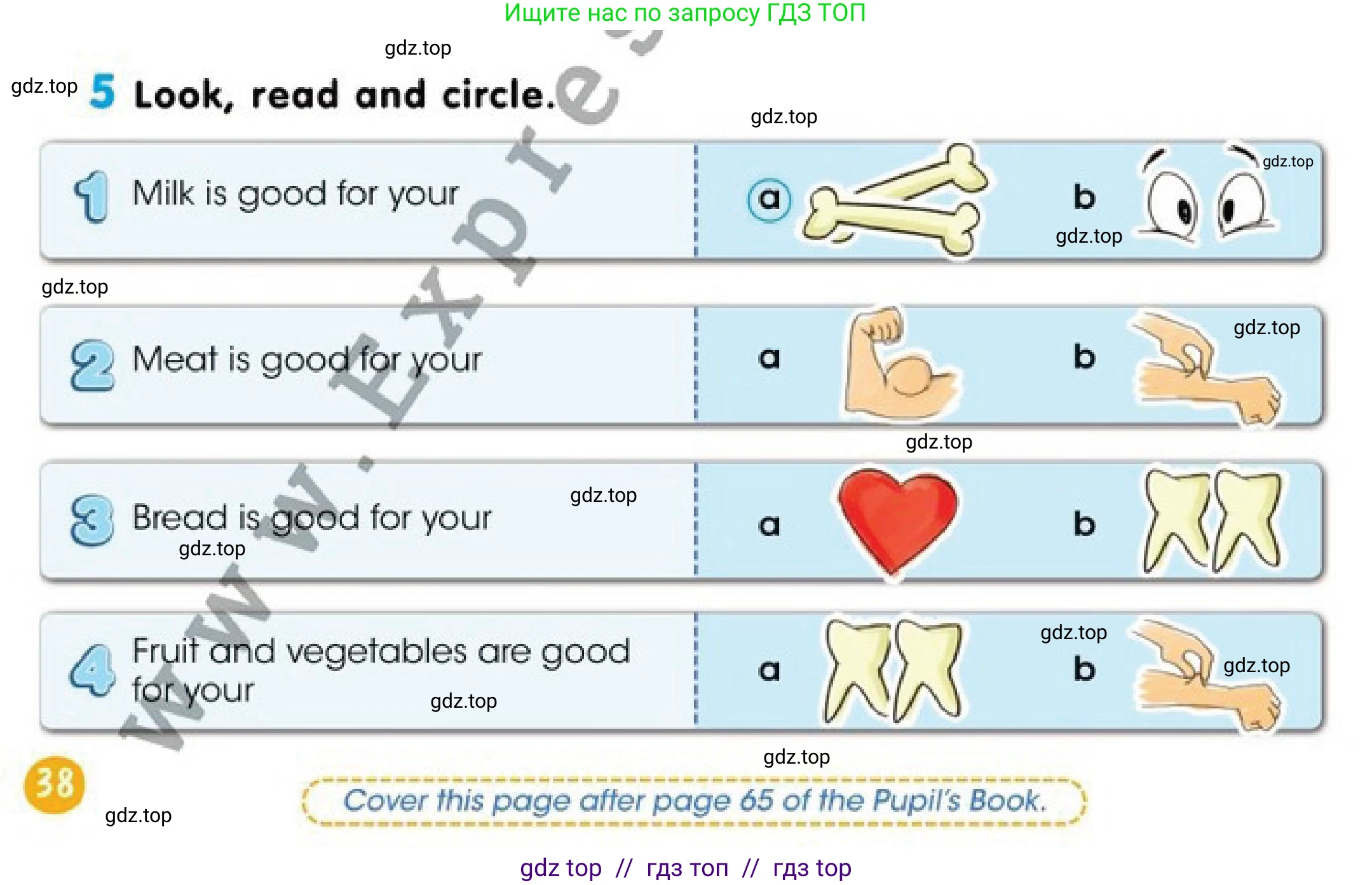 Английский язык (english), 2 класс Учебник (Pupil's book), авторы: Дули Дженни (Dooley Jenny), Эванс Вирджиния (Evans Virginia), Оби Боб (Obee Bob), издательство Express Publishing, Алматы, 2017, жёлтого цвета, страница 38, номер 5, Условие