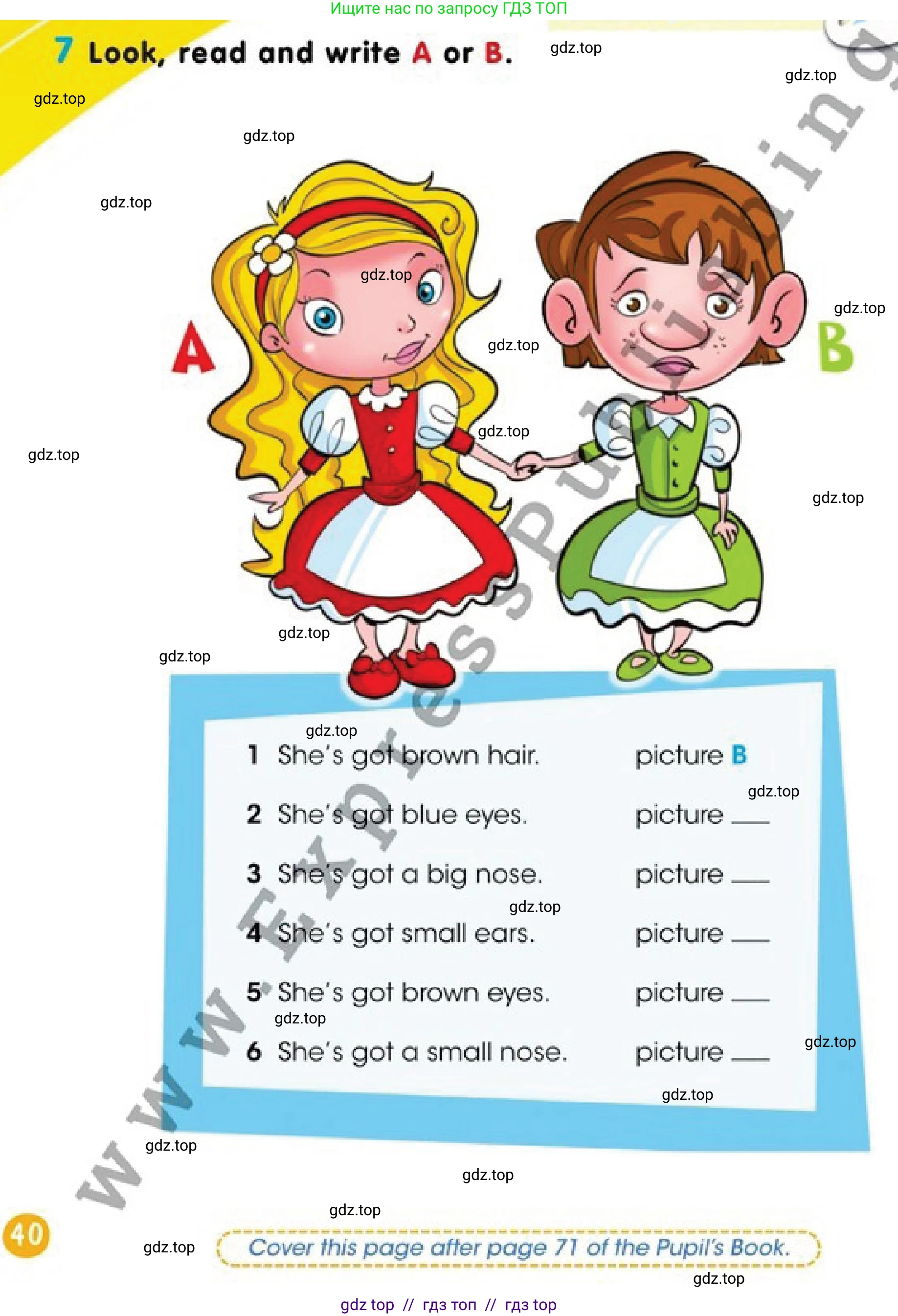 Английский язык (english), 2 класс Учебник (Pupil's book), авторы: Дули Дженни (Dooley Jenny), Эванс Вирджиния (Evans Virginia), Оби Боб (Obee Bob), издательство Express Publishing, Алматы, 2017, жёлтого цвета, страница 40, номер 7, Условие