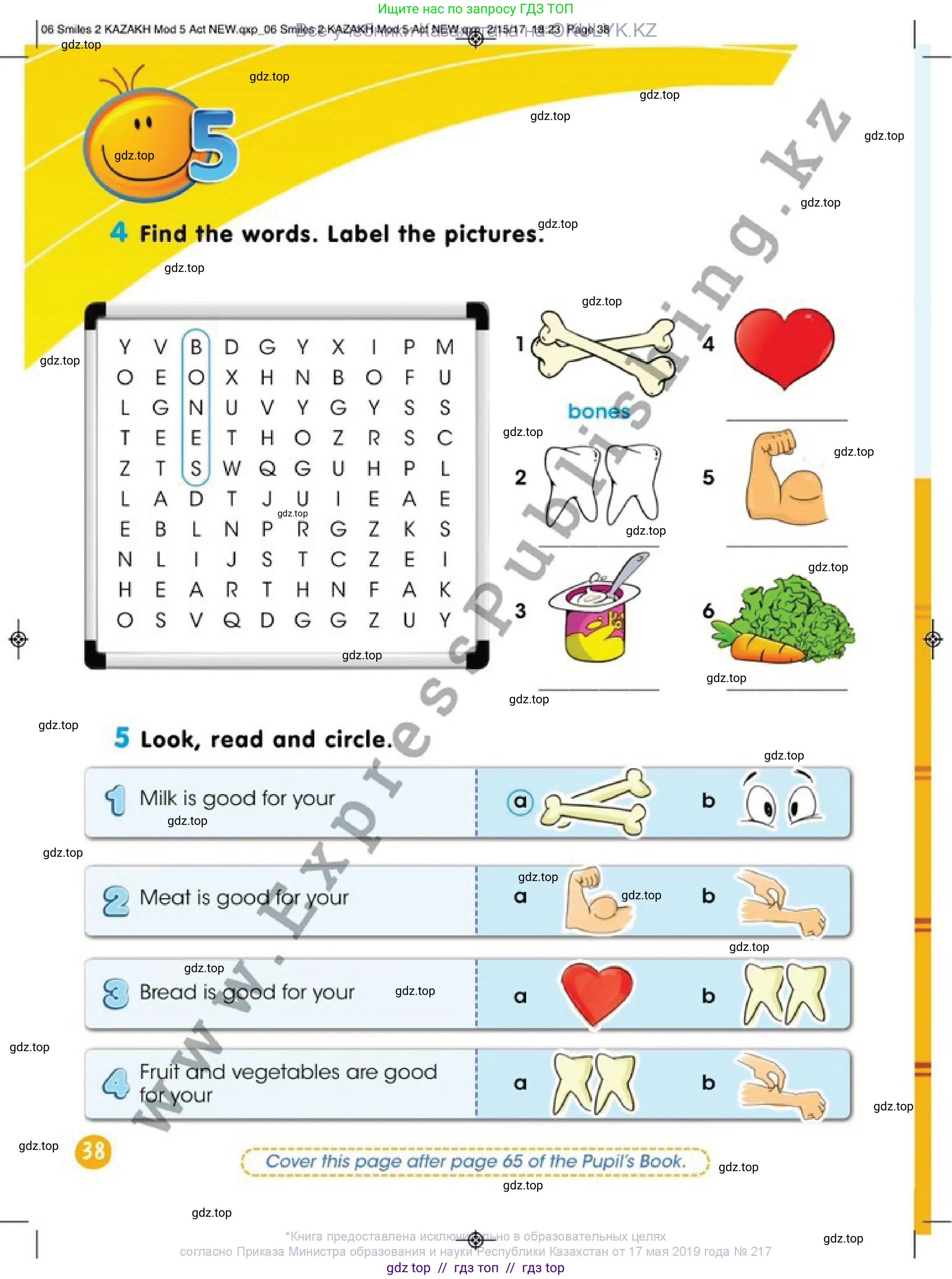 Английский язык (english), 2 класс Учебник (Pupil's book), авторы: Дули Дженни (Dooley Jenny), Эванс Вирджиния (Evans Virginia), Оби Боб (Obee Bob), издательство Express Publishing, Алматы, 2017, жёлтого цвета, страница 38
