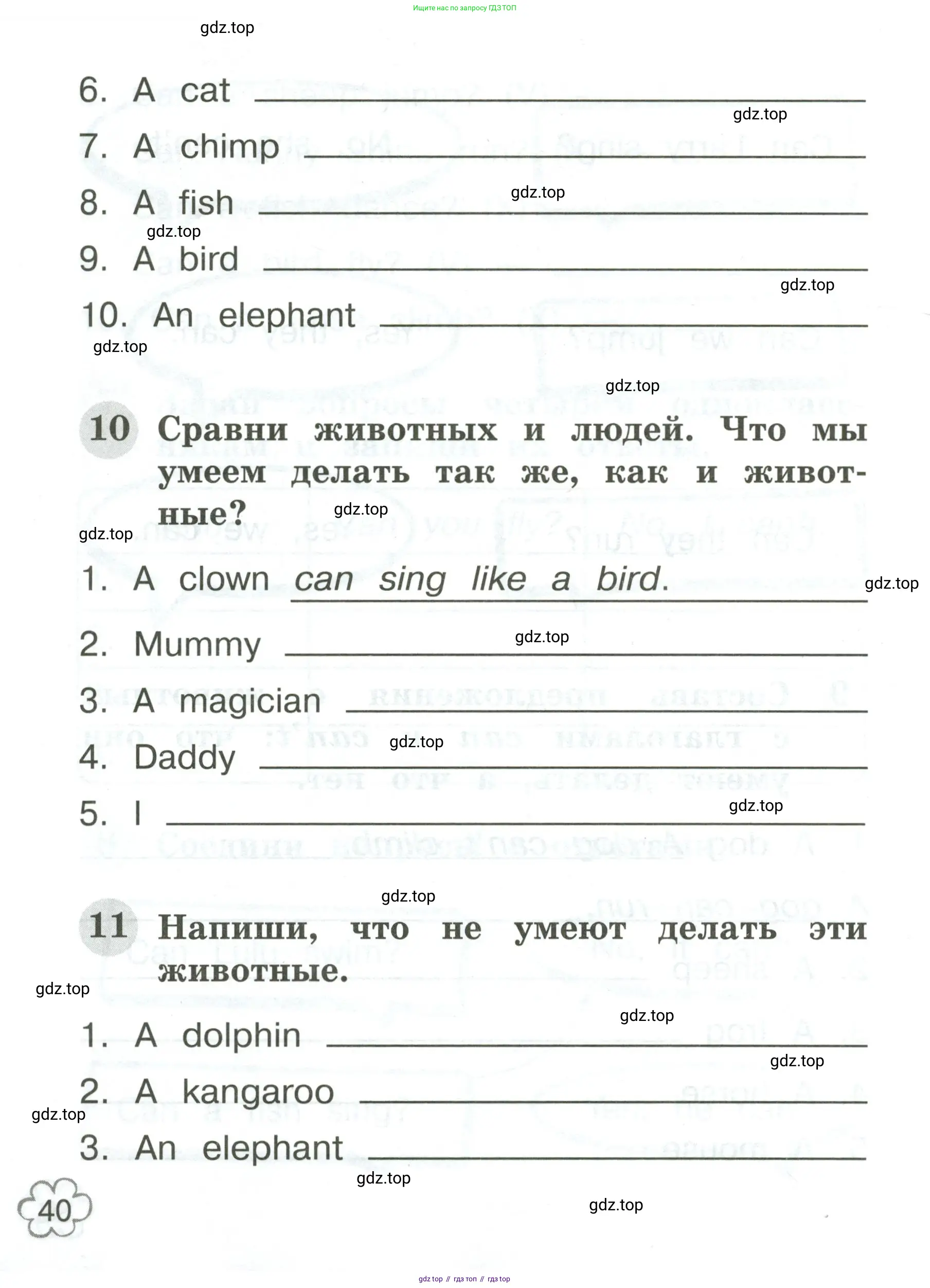 Английский язык (english), 2 класс Грамматический тренажёр, автор: Юшина Дарья Генадьевна, издательство Просвещение, Москва, 2018, розового цвета, страница 40