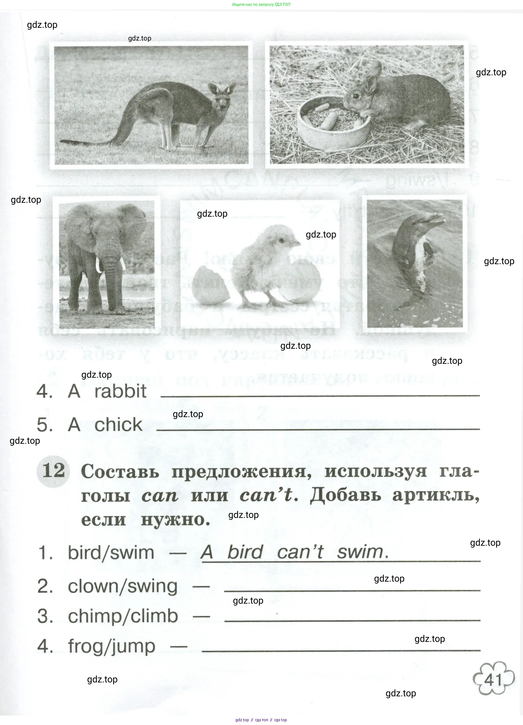 Английский язык (english), 2 класс Грамматический тренажёр, автор: Юшина Дарья Генадьевна, издательство Просвещение, Москва, 2018, розового цвета, страница 41