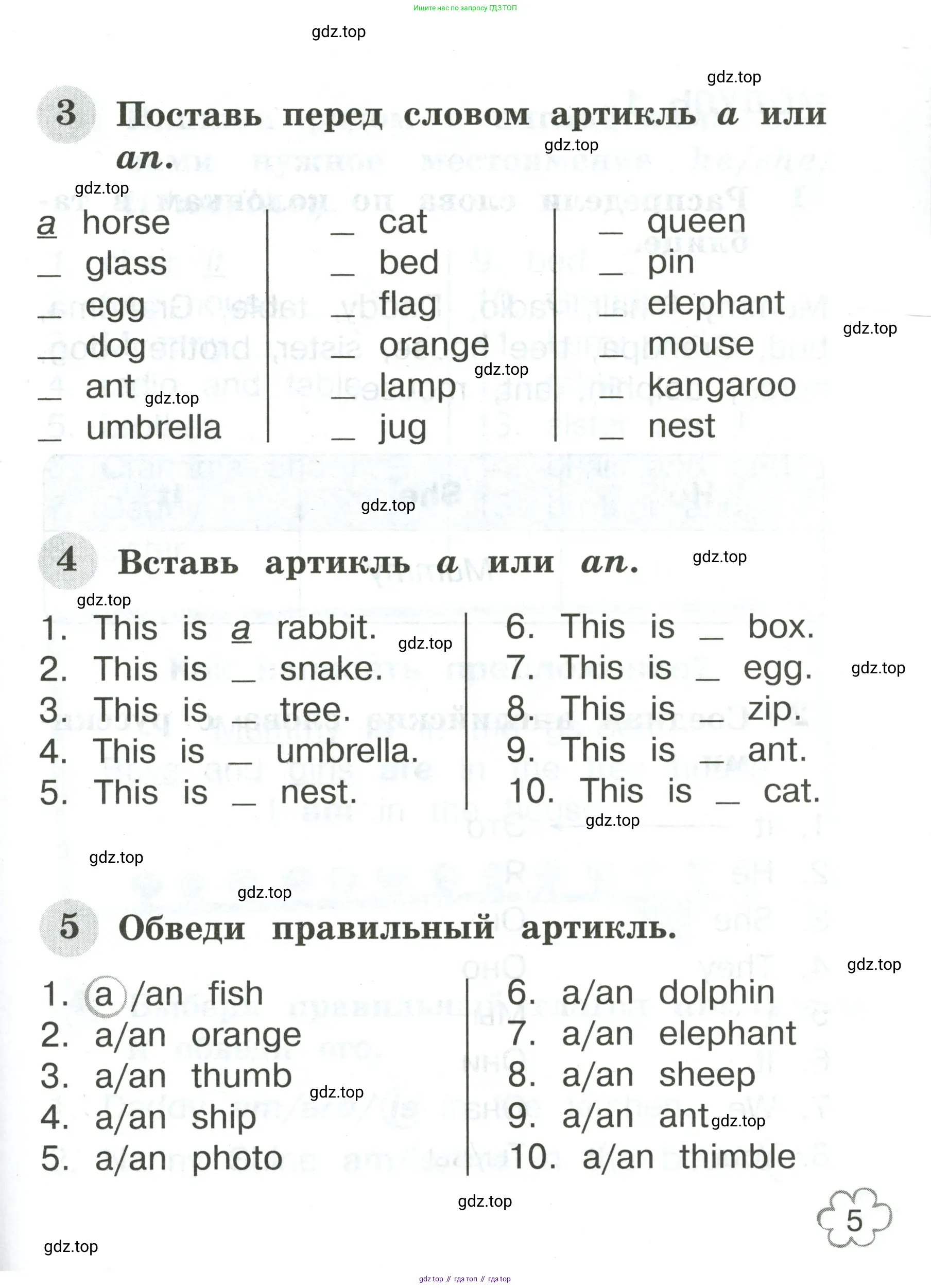 Английский язык (english), 2 класс Грамматический тренажёр, автор: Юшина Дарья Генадьевна, издательство Просвещение, Москва, 2018, розового цвета, страница 5