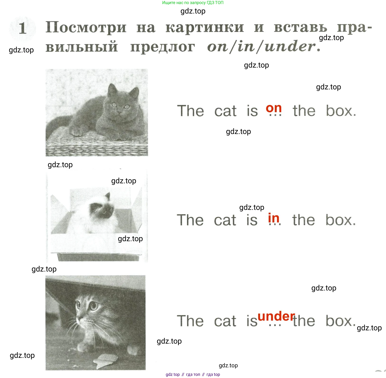 Английский язык (english), 2 класс Грамматический тренажёр, автор: Юшина Дарья Генадьевна, издательство Просвещение, Москва, 2018, розового цвета, страница 45, номер 1, Решение 3