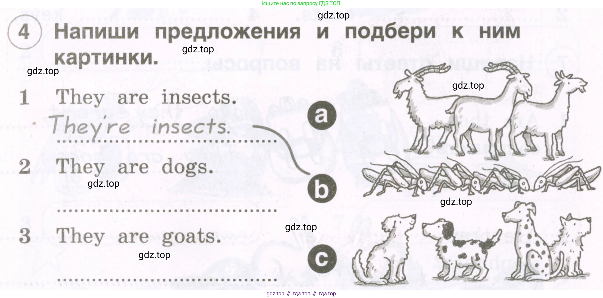 Английский язык (english), 2 класс рабочая тетрадь, авторы: Комарова Юлия Александровна, Ларионова Ирина Владимировна, издательство Русское слово, Москва, 2023, сиреневого цвета, страница 39, номер 4, Условие