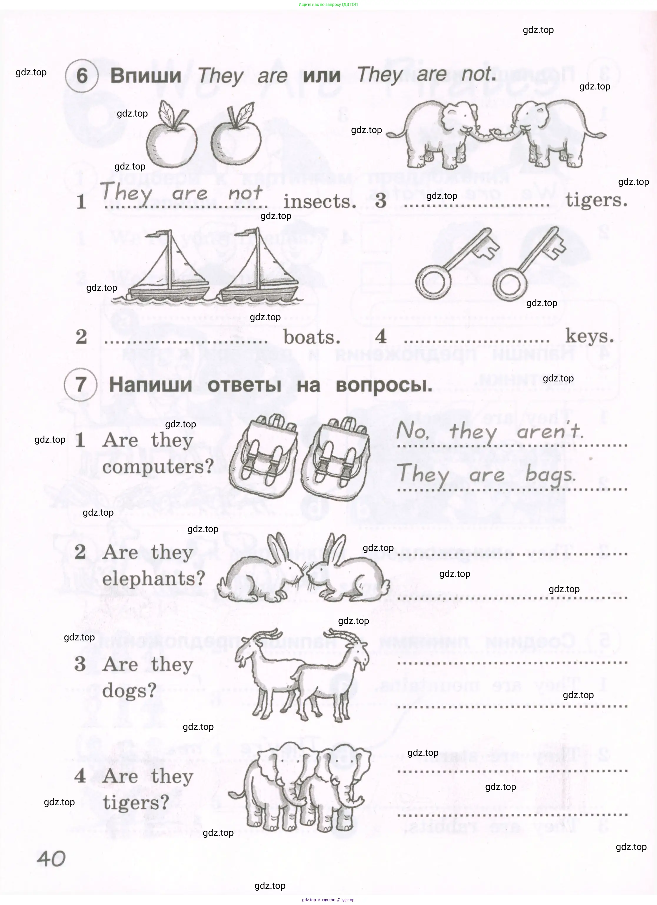 Английский язык (english), 2 класс рабочая тетрадь, авторы: Комарова Юлия Александровна, Ларионова Ирина Владимировна, издательство Русское слово, Москва, 2023, сиреневого цвета, страница 40