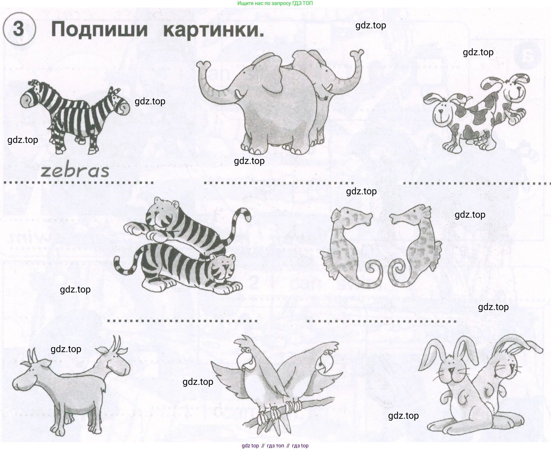 Английский язык (english), 2 класс рабочая тетрадь, авторы: Комарова Юлия Александровна, Ларионова Ирина Владимировна, издательство Русское слово, Москва, 2023, сиреневого цвета, страница 68, номер 3, Условие