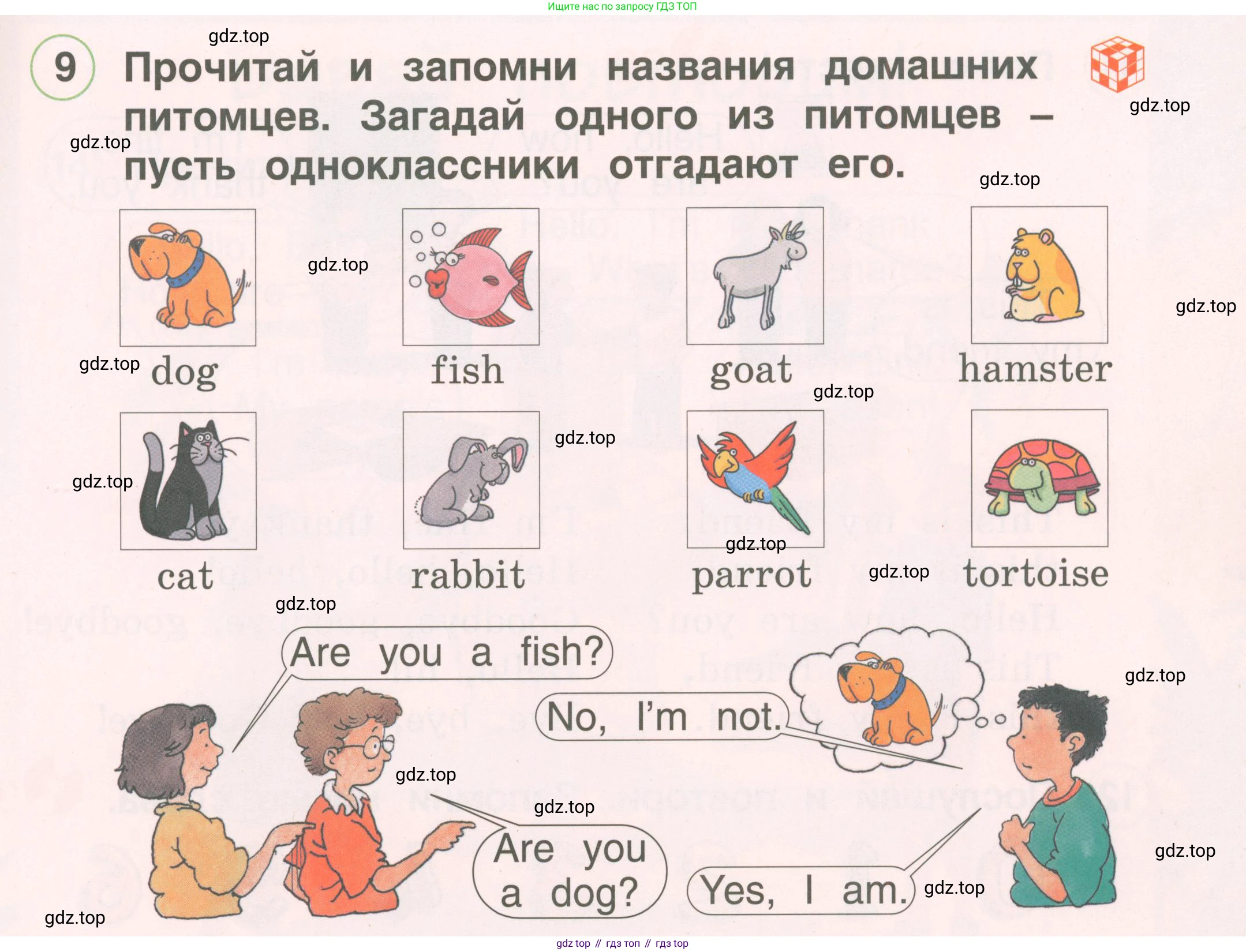 Английский язык (english), 2 класс Учебник, авторы: Комарова Юлия Александровна, Ларионова Ирина Владимировна, издательство Русское слово, Москва, 2022, сиреневого цвета, страница 31, номер 9, Условие