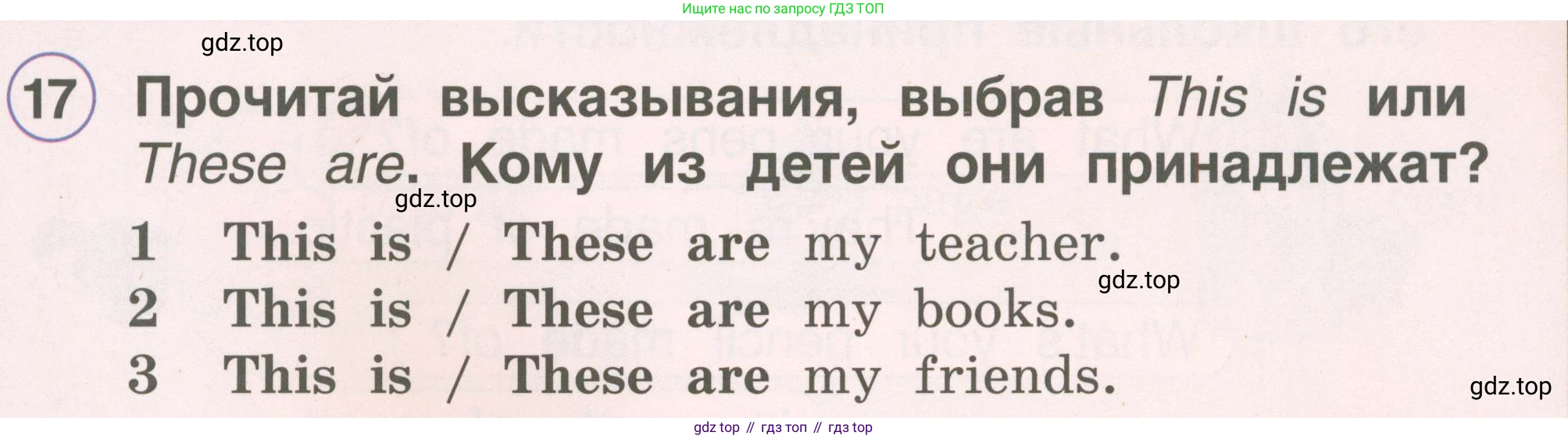 ГДЗ Английский язык (english), 2 класс Учебник, авторы: Комарова Юлия Александровна, Ларионова Ирина Владимировна, издательство Русское слово, Москва, 2022, сиреневого цвета, страница 49, номер 17, Условие