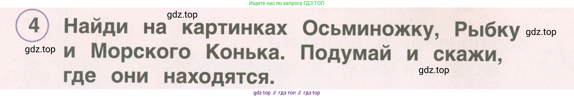 ГДЗ Английский язык (english), 2 класс Учебник, авторы: Комарова Юлия Александровна, Ларионова Ирина Владимировна, издательство Русское слово, Москва, 2022, сиреневого цвета, страница 44, номер 4, Условие