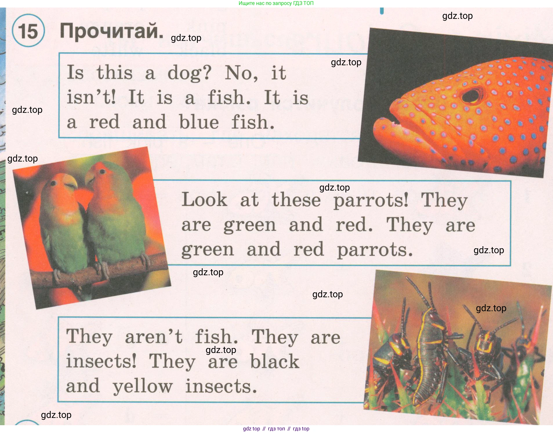 ГДЗ Английский язык (english), 2 класс Учебник, авторы: Комарова Юлия Александровна, Ларионова Ирина Владимировна, издательство Русское слово, Москва, 2022, сиреневого цвета, страница 57, номер 15, Условие