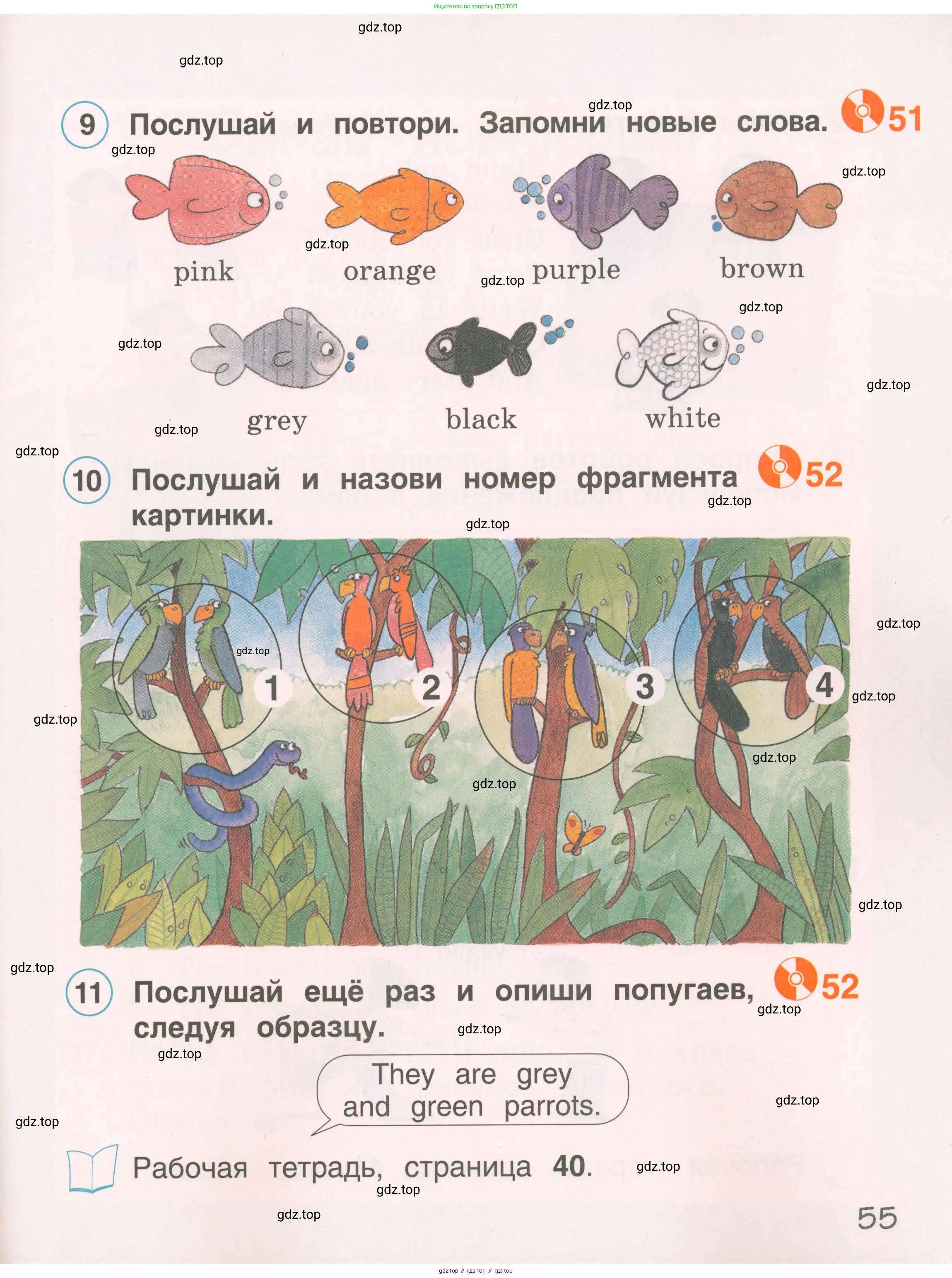 Английский язык (english), 2 класс Учебник, авторы: Комарова Юлия Александровна, Ларионова Ирина Владимировна, издательство Русское слово, Москва, 2022, сиреневого цвета, страница 55
