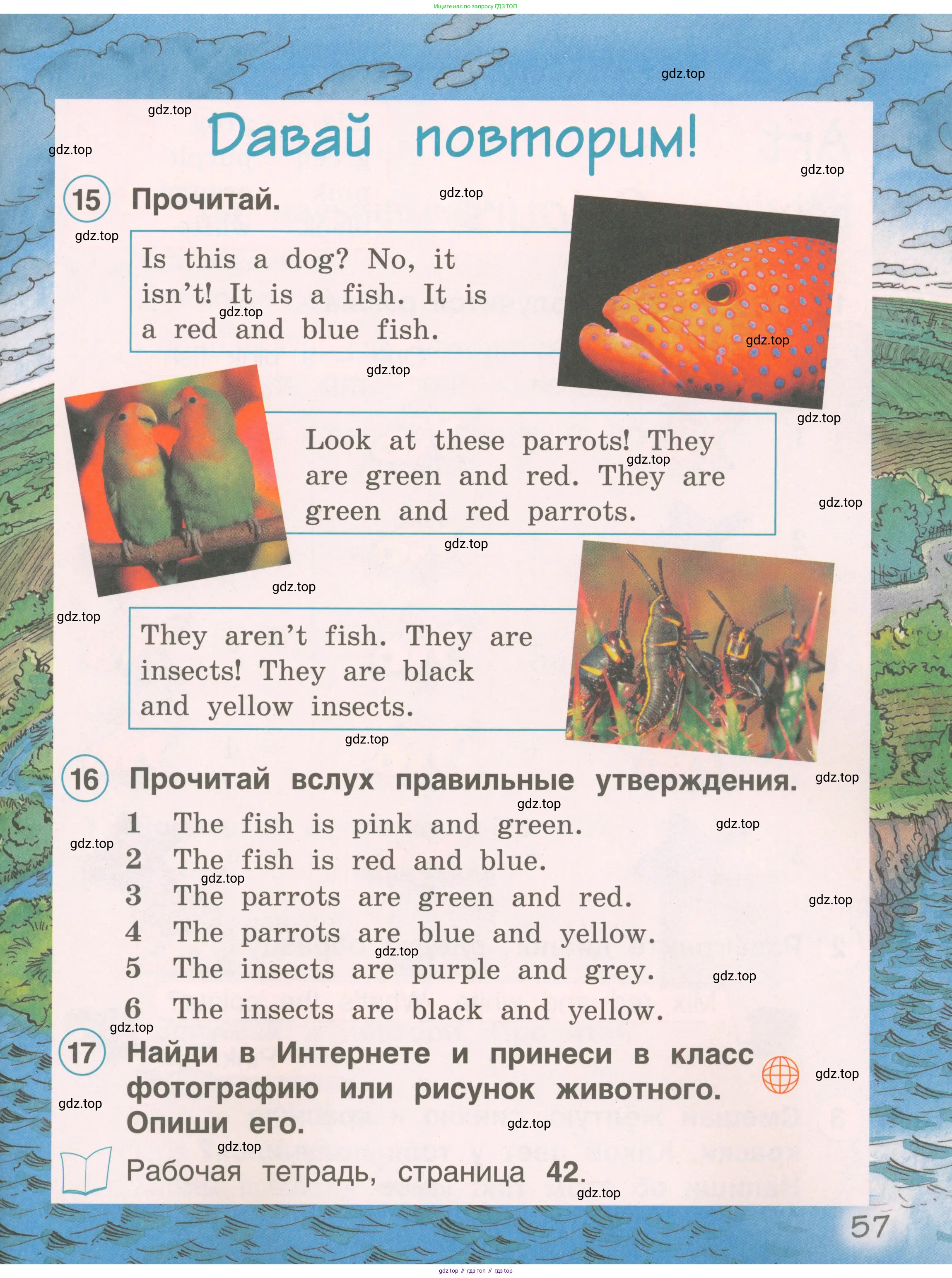 Английский язык (english), 2 класс Учебник, авторы: Комарова Юлия Александровна, Ларионова Ирина Владимировна, издательство Русское слово, Москва, 2022, сиреневого цвета, страница 57