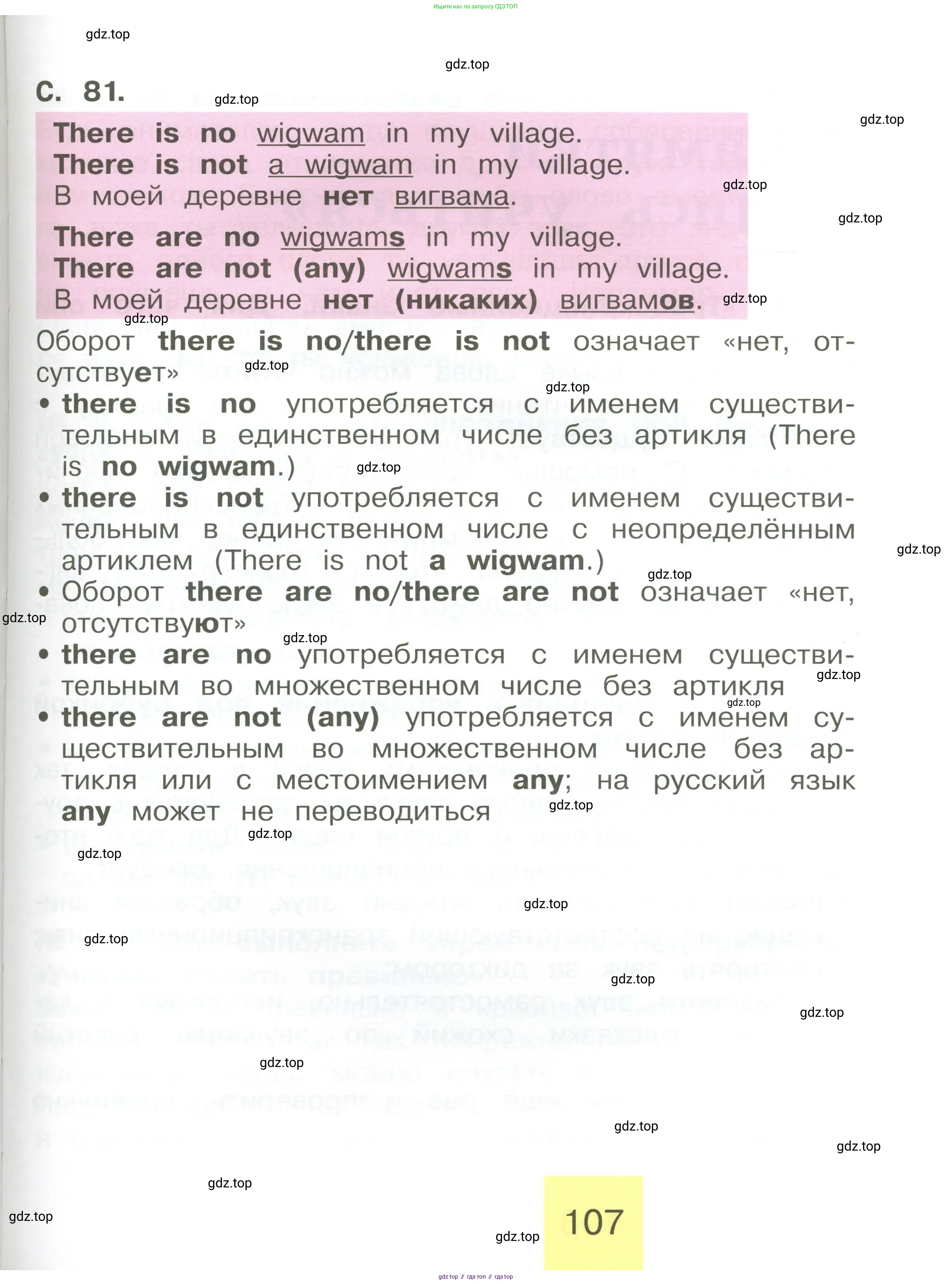 Английский язык (english), 2 класс Учебник (Student's book), авторы: Кузовлев Владимир Петрович (Kuzovlev Vladimir), Перегудова Эльвира Шакировна, Пастухова Светлана Анатольевна (Pastukhova Svetlana), Стрельникова Ольга Викторовна (Strelnikova Olga), издательство Просвещение, Москва, 2023, розового цвета, Часть ( Part) 2, страница 107
