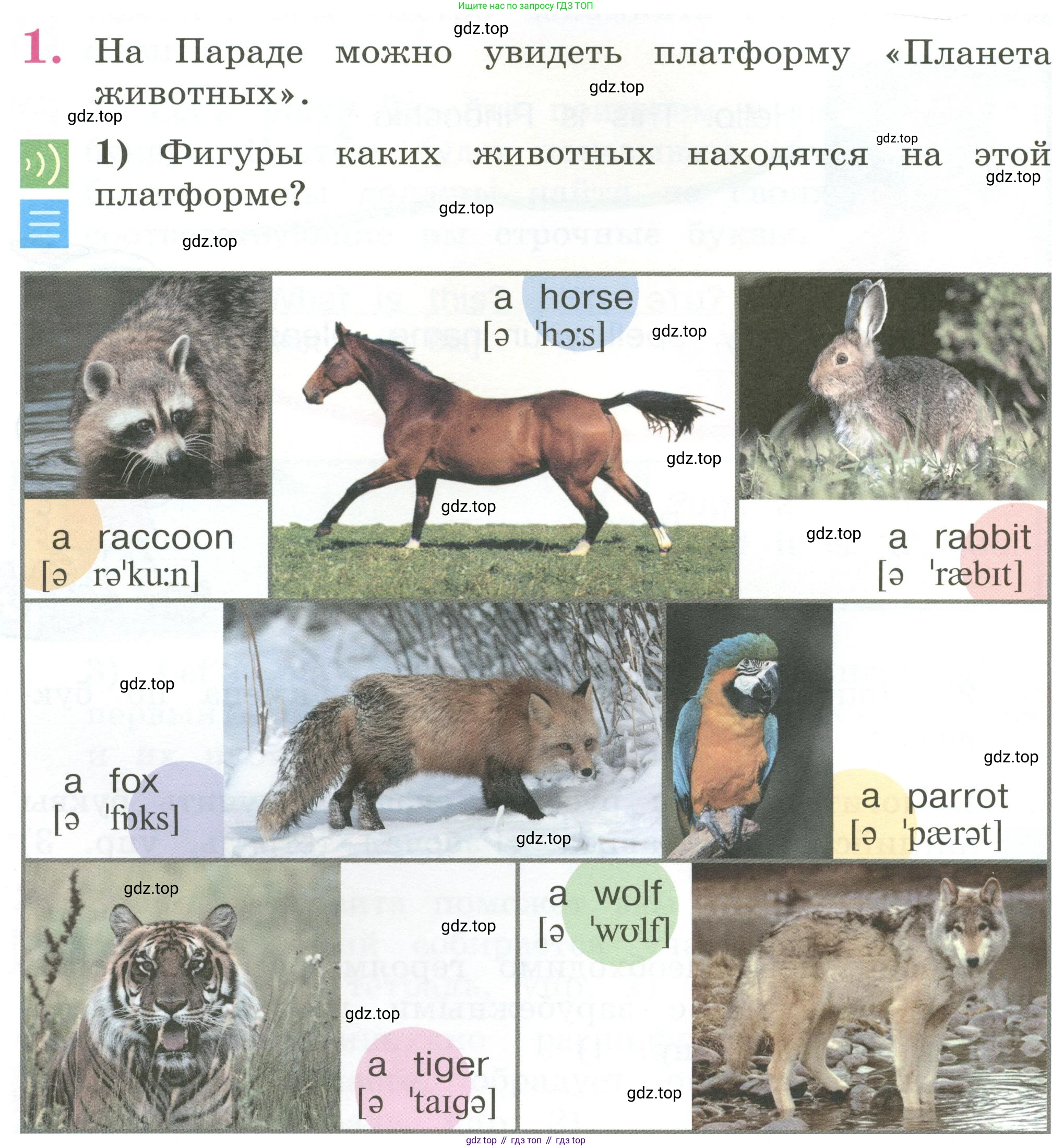 Английский язык (english), 2 класс Учебник (Student's book), авторы: Кузовлев Владимир Петрович (Kuzovlev Vladimir), Перегудова Эльвира Шакировна, Пастухова Светлана Анатольевна (Pastukhova Svetlana), Стрельникова Ольга Викторовна (Strelnikova Olga), издательство Просвещение, Москва, 2023, розового цвета, Часть ( Part) 1, страница 60, номер 1, Условие