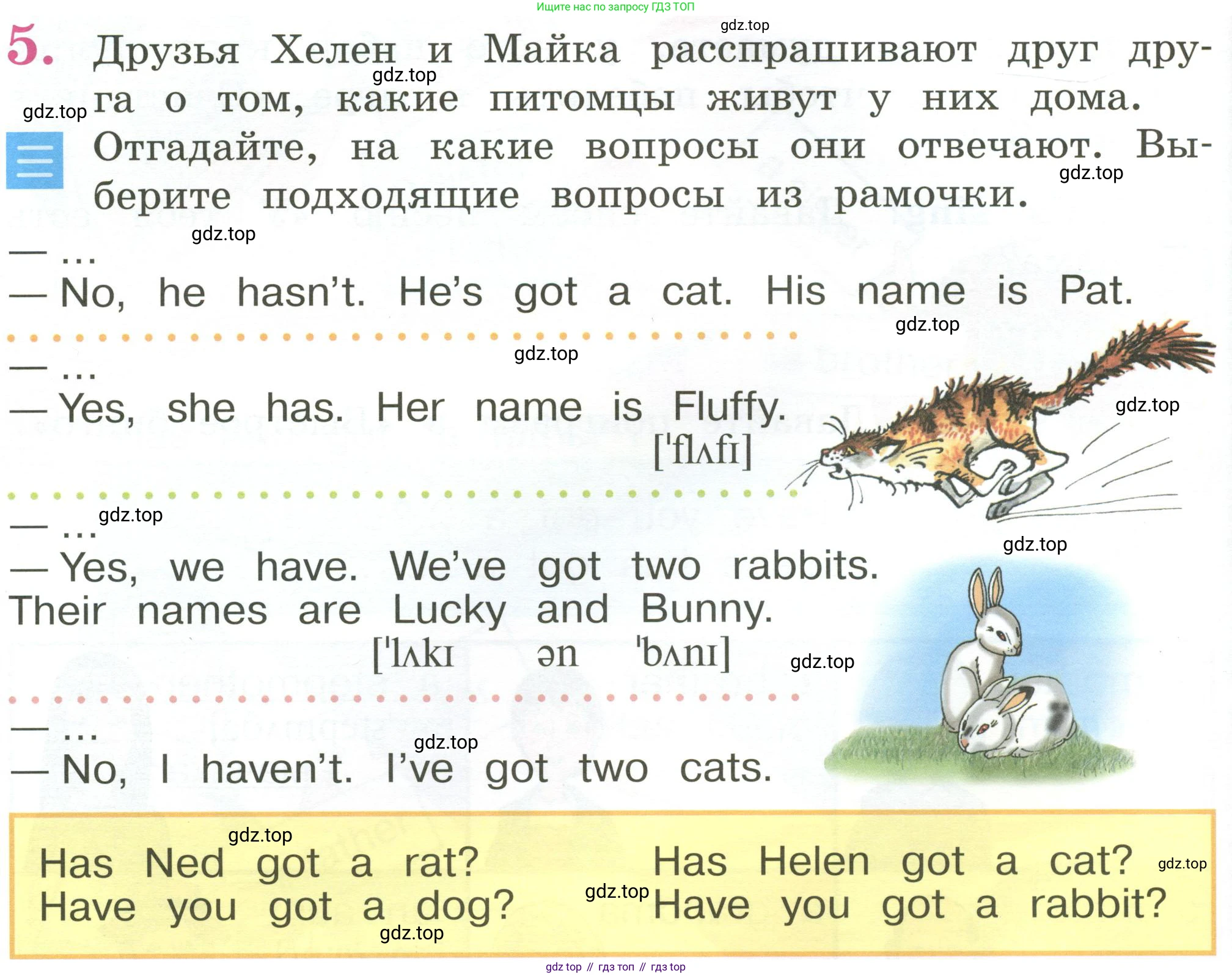 Английский язык (english), 2 класс Учебник (Student's book), авторы: Кузовлев Владимир Петрович (Kuzovlev Vladimir), Перегудова Эльвира Шакировна, Пастухова Светлана Анатольевна (Pastukhova Svetlana), Стрельникова Ольга Викторовна (Strelnikova Olga), издательство Просвещение, Москва, 2023, розового цвета, Часть ( Part) 2, страница 24, номер 5, Условие
