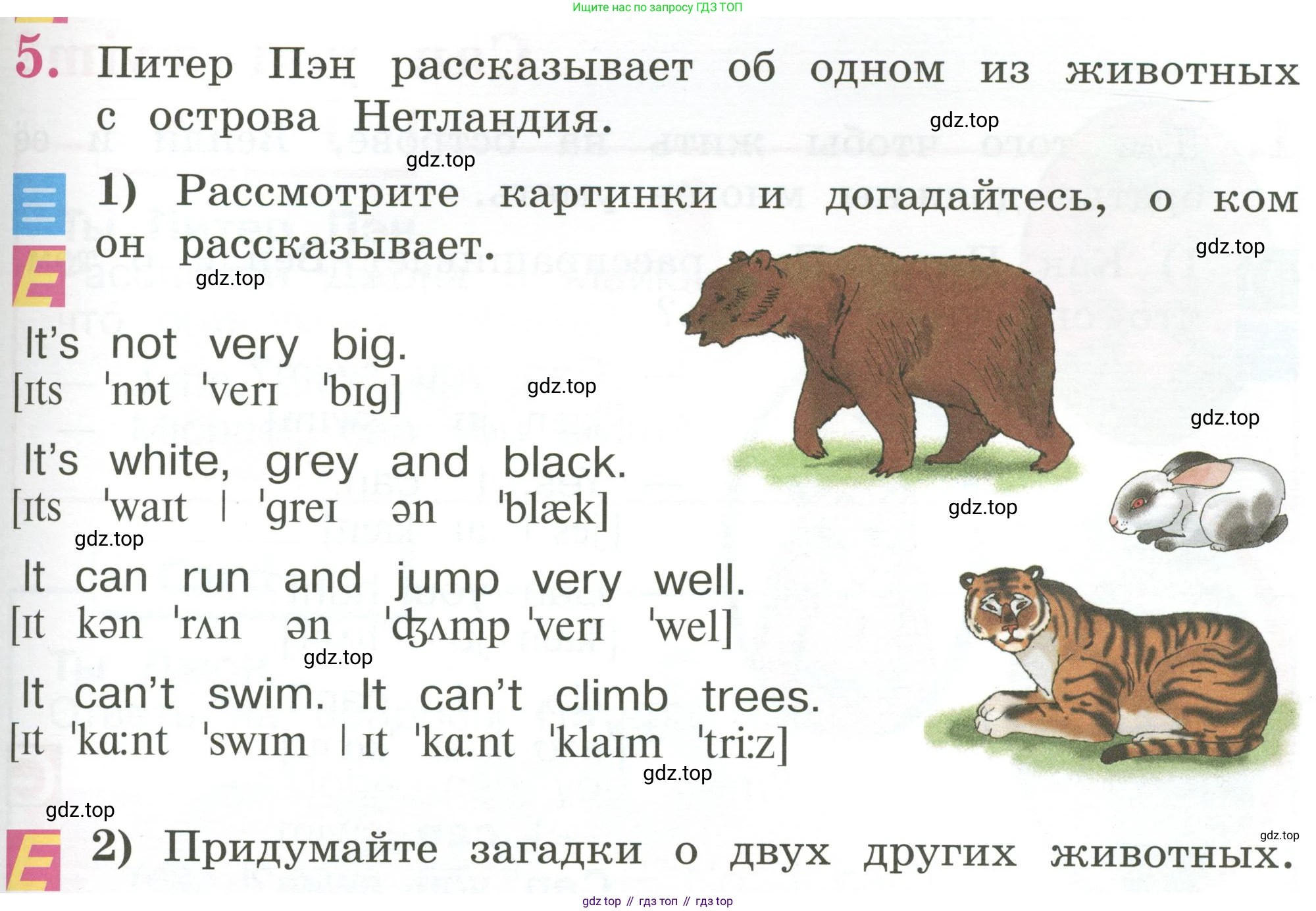 Английский язык (english), 2 класс Учебник (Student's book), авторы: Кузовлев Владимир Петрович (Kuzovlev Vladimir), Перегудова Эльвира Шакировна, Пастухова Светлана Анатольевна (Pastukhova Svetlana), Стрельникова Ольга Викторовна (Strelnikova Olga), издательство Просвещение, Москва, 2023, розового цвета, Часть ( Part) 2, страница 37, номер 5, Условие