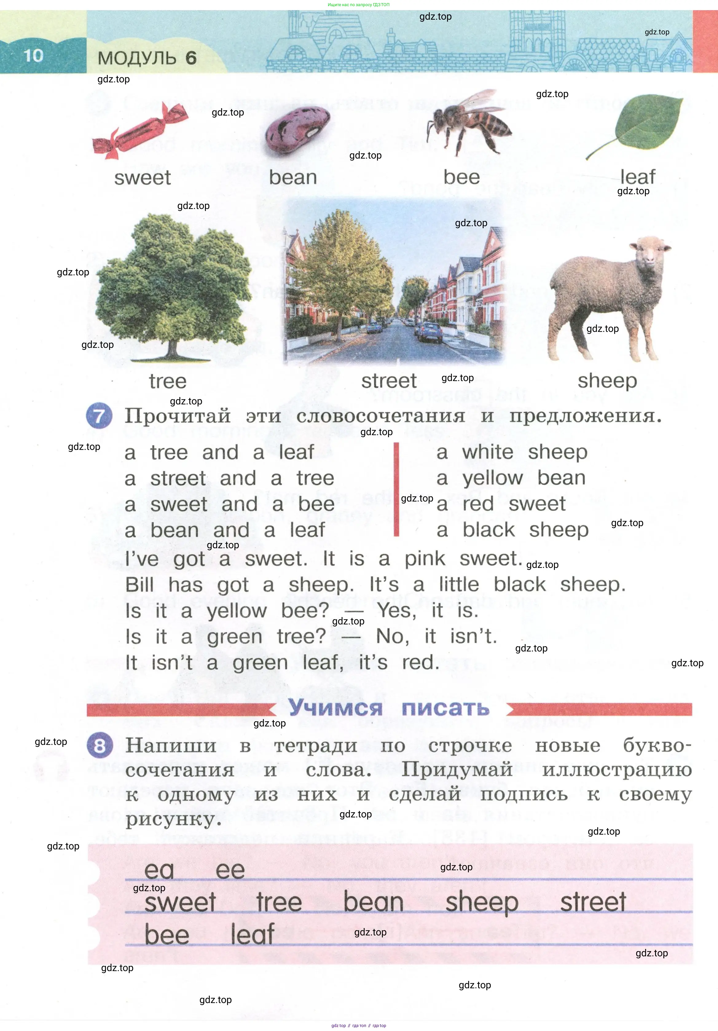 Английский язык (english), 2 класс Учебник, авторы: Афанасьева Ольга Васильевна (Afanasyeva Olga), Баранова Ксения Михайловна (Baranova Ksenia), Михеева Ирина Владимировна (Mikheeva Irina), издательство Просвещение, Москва, 2023, Часть 1, страница 10