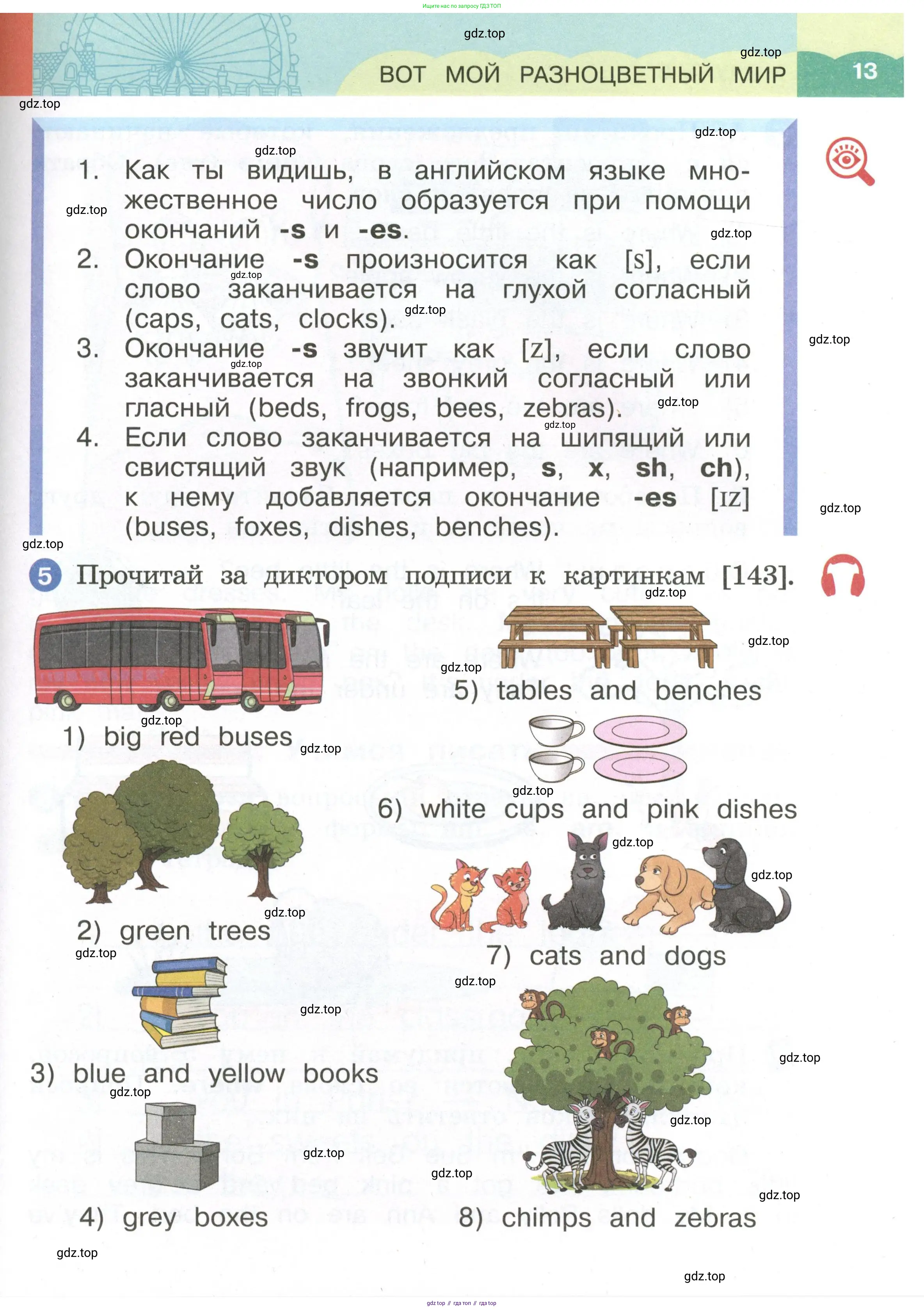 Английский язык (english), 2 класс Учебник, авторы: Афанасьева Ольга Васильевна (Afanasyeva Olga), Баранова Ксения Михайловна (Baranova Ksenia), Михеева Ирина Владимировна (Mikheeva Irina), издательство Просвещение, Москва, 2023, Часть 1, страница 13