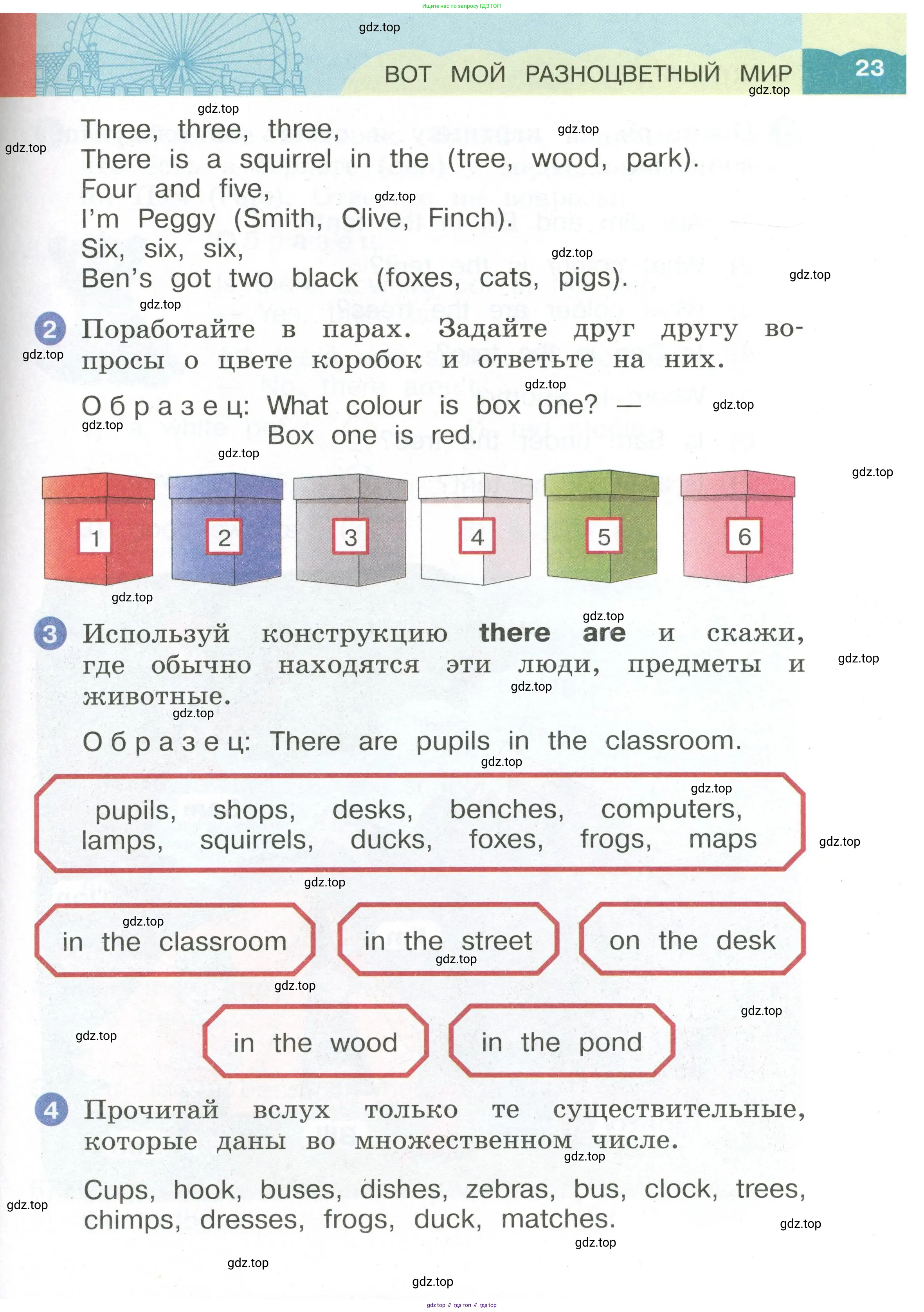 Английский язык (english), 2 класс Учебник, авторы: Афанасьева Ольга Васильевна (Afanasyeva Olga), Баранова Ксения Михайловна (Baranova Ksenia), Михеева Ирина Владимировна (Mikheeva Irina), издательство Просвещение, Москва, 2023, Часть 1, страница 23