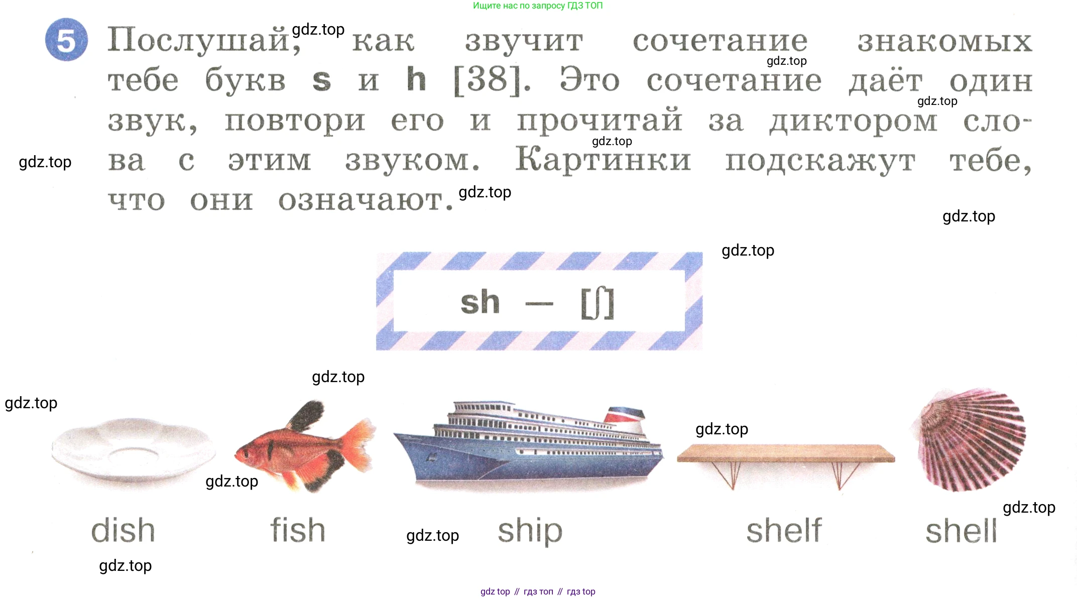 Английский язык (english), 2 класс Учебник, авторы: Афанасьева Ольга Васильевна (Afanasyeva Olga), Баранова Ксения Михайловна (Baranova Ksenia), Михеева Ирина Владимировна (Mikheeva Irina), издательство Просвещение, Москва, 2023, Часть 1, страница 30, номер 5, Условие