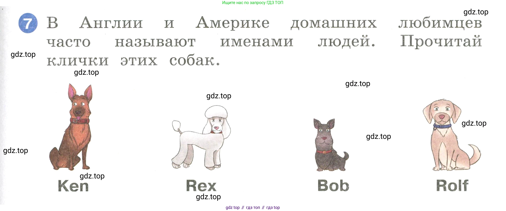 Английский язык (english), 2 класс Учебник, авторы: Афанасьева Ольга Васильевна (Afanasyeva Olga), Баранова Ксения Михайловна (Baranova Ksenia), Михеева Ирина Владимировна (Mikheeva Irina), издательство Просвещение, Москва, 2023, Часть 1, страница 31, номер 7, Условие